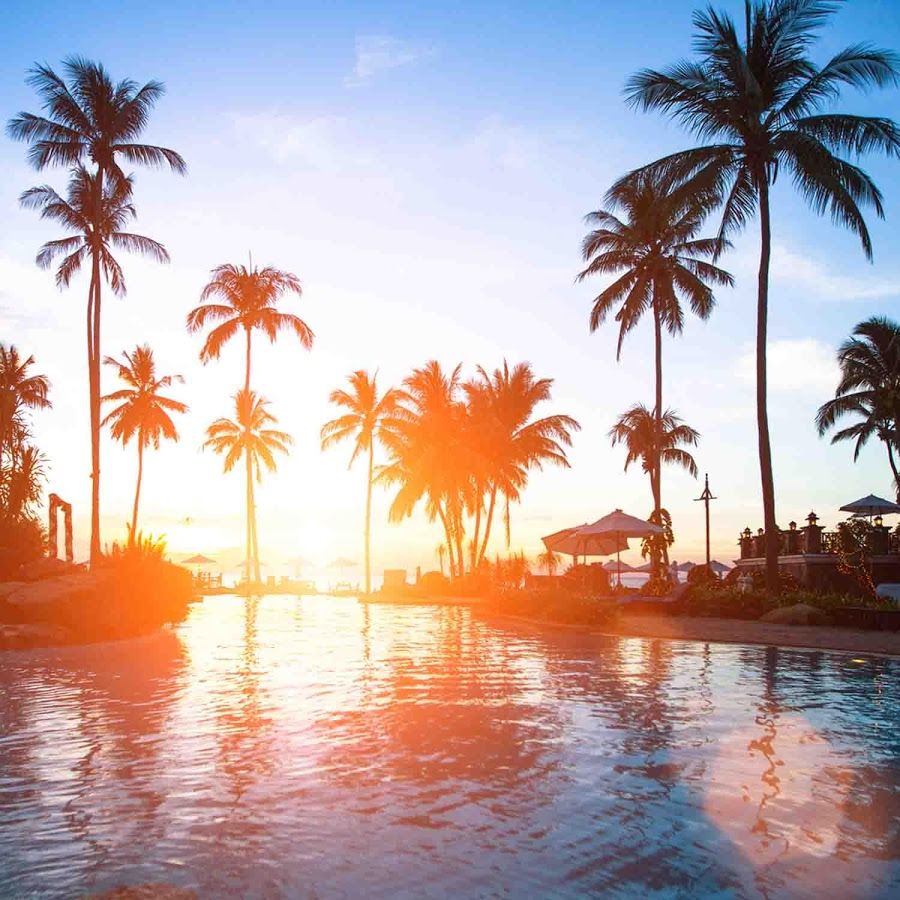 Archivo: Palm Trees Wallpapers-A75V71G.jpg | WallpapersExpert.com