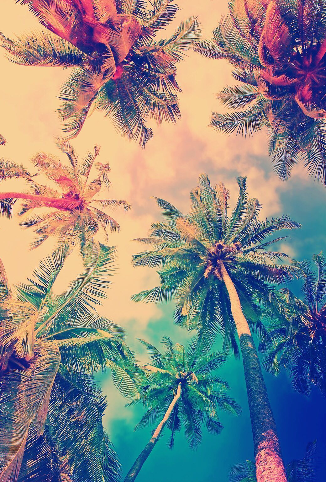 Más de 65 fondos de pantalla coloridos de Palm Tree - Descarga