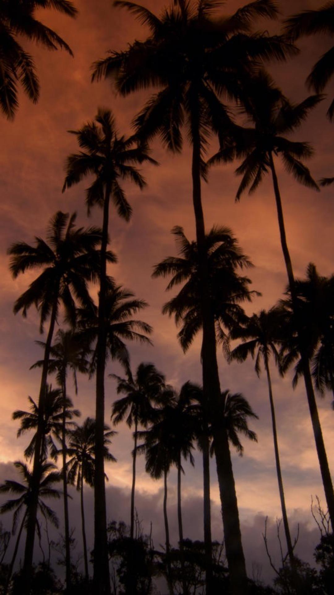 Fondo de pantalla de  1080x1920