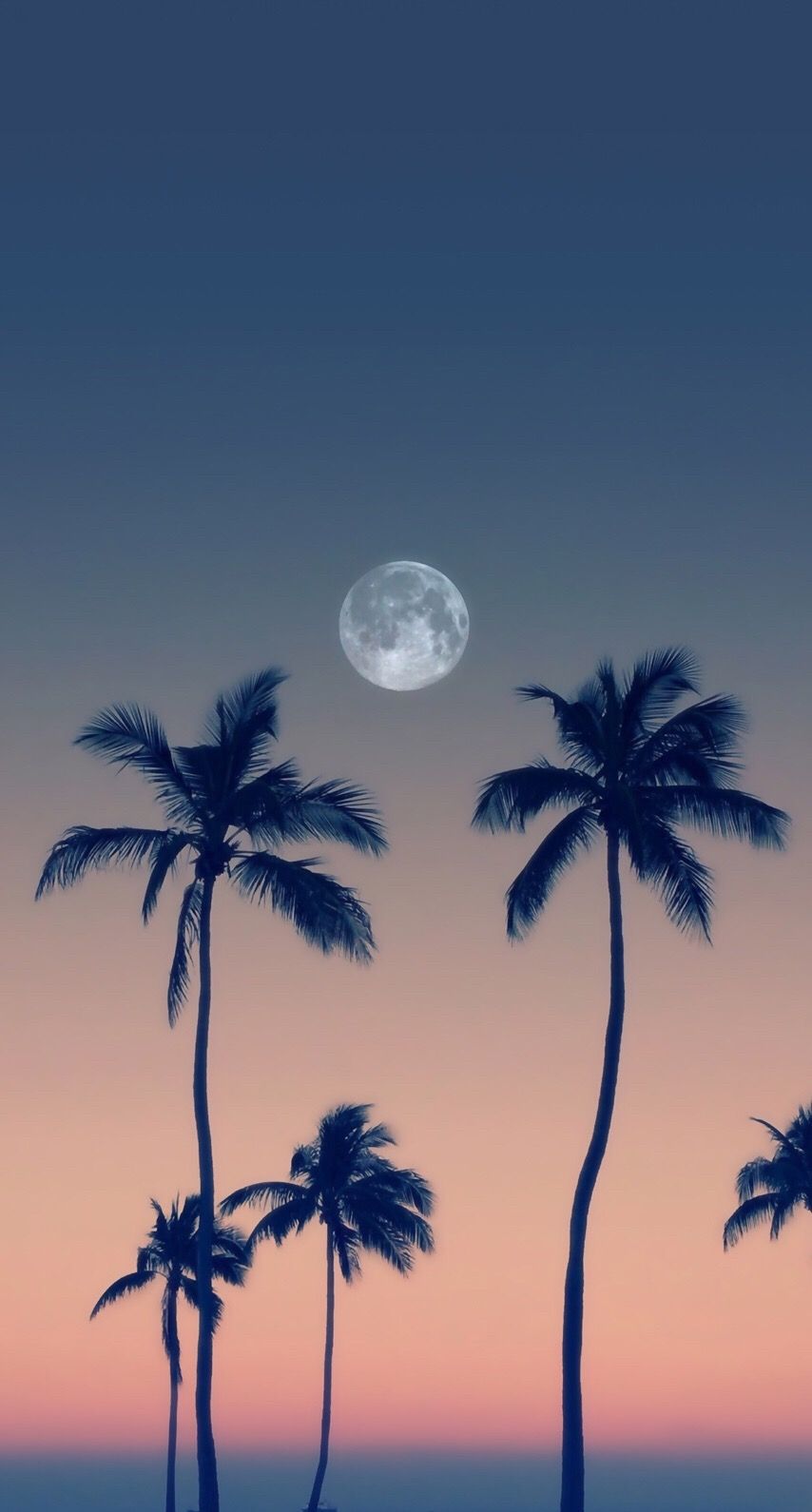 Palmeras luna fondo de pantalla | Fondos de pantalla / Fondos | Árbol