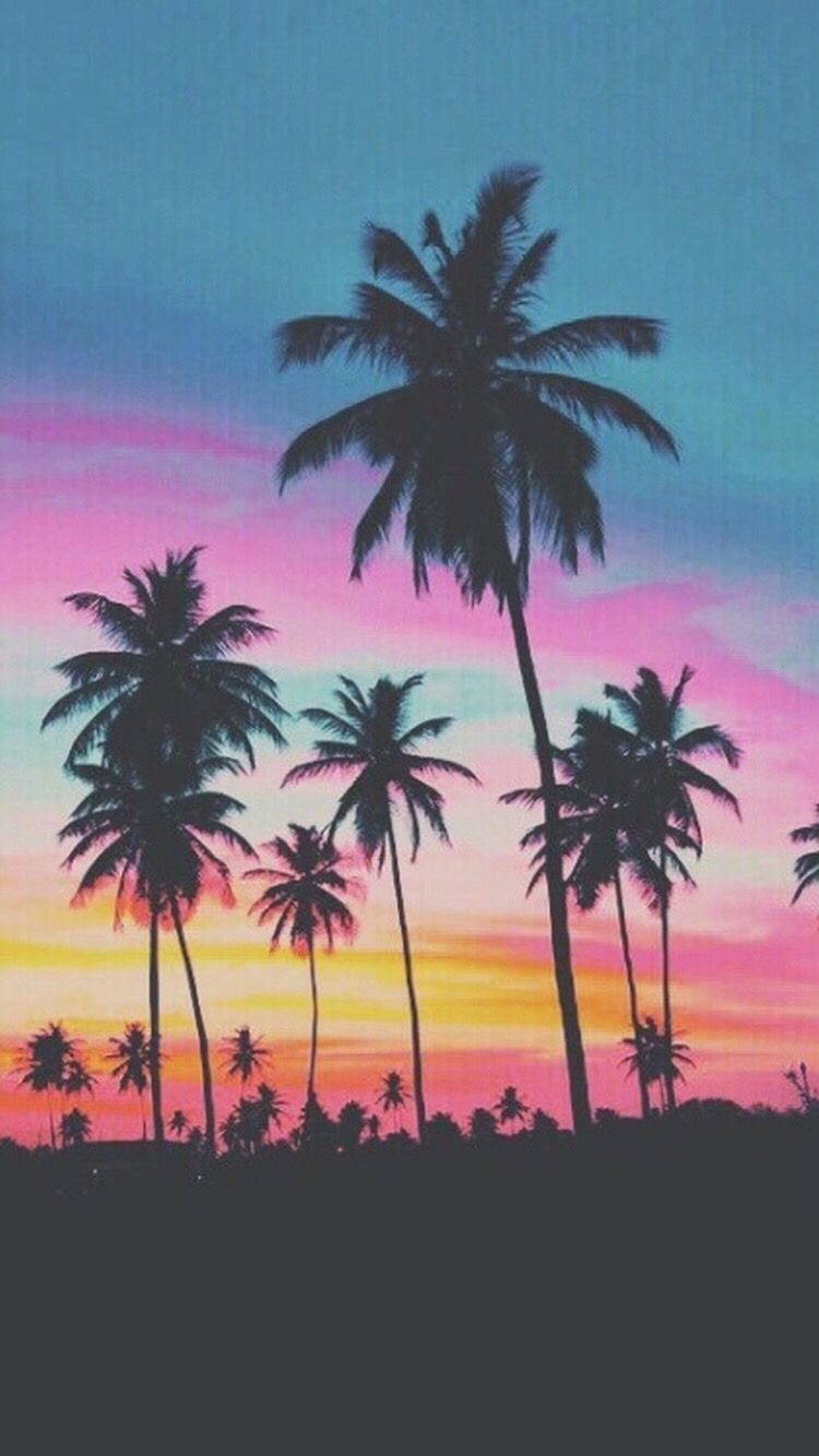 Palmeras Fondo de pantalla de Iphone 6 / 6s - Fondo de pantalla de Iphone 6 Palmeras