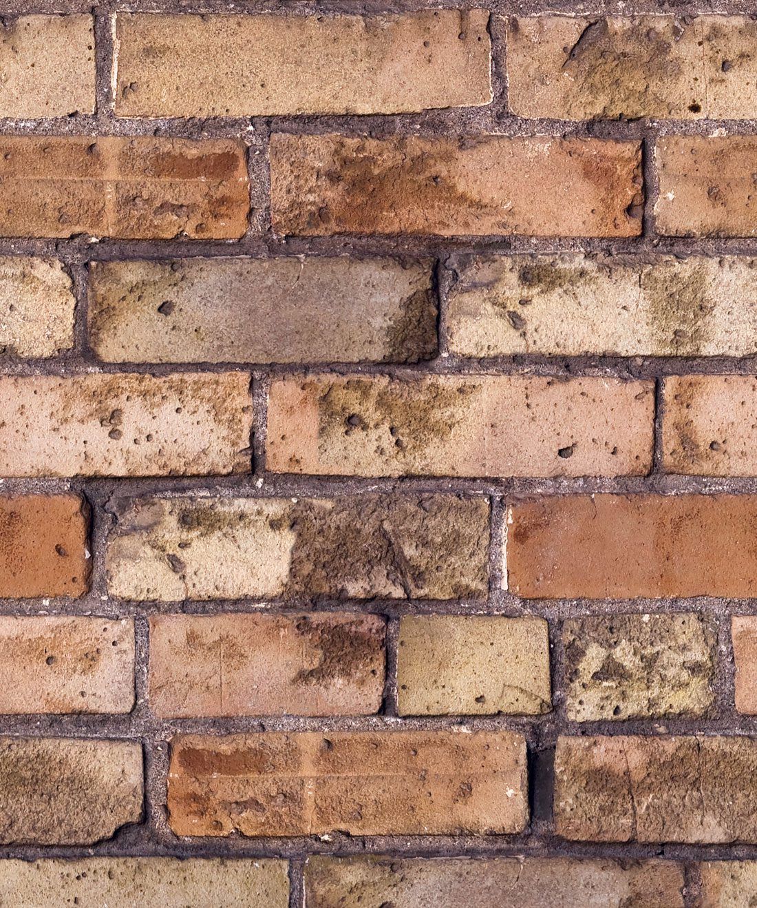 Fondo de pantalla de Old Brown Bricks, Kemra | Milton y King