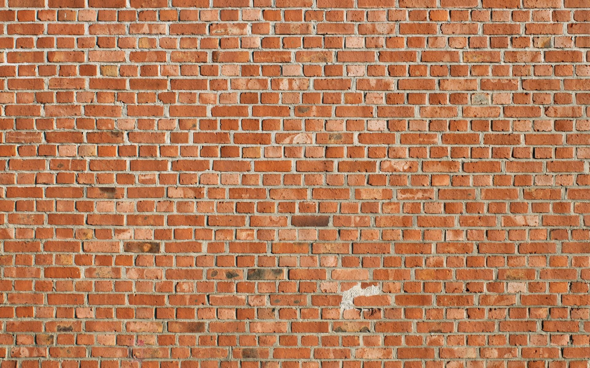 Descargar fondo de pantalla 1920x1200 textura, ladrillo, pared 1920x1200 HD
