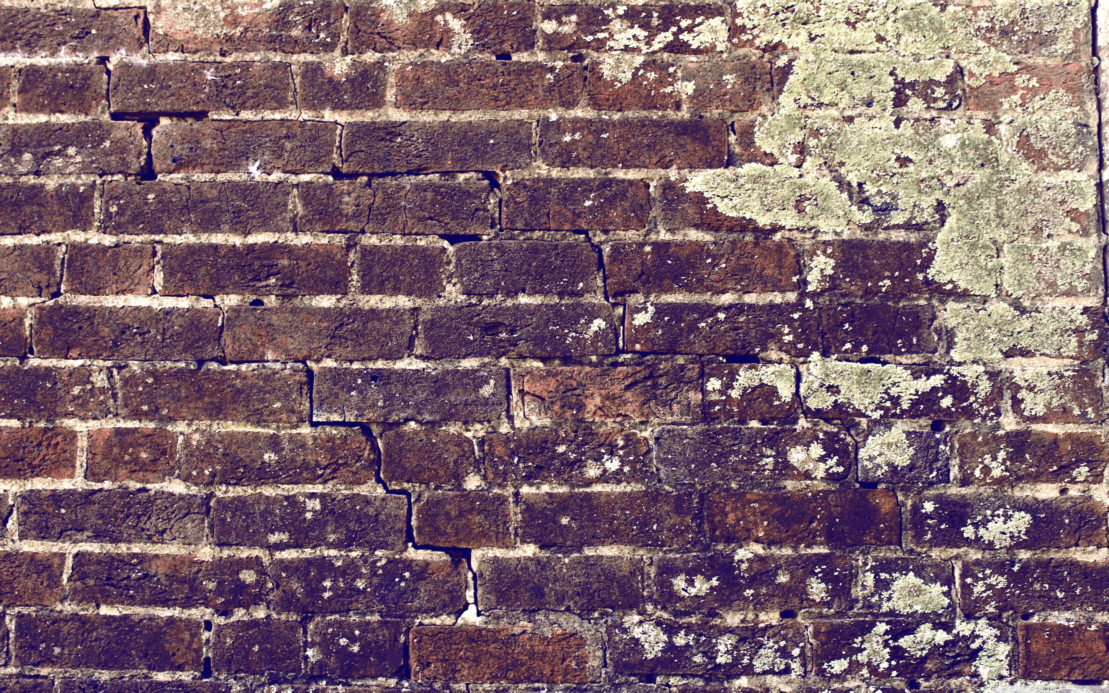 Brick Wall ❤ Fondo de escritorio 4K HD para TV 4K Ultra HD • Doble