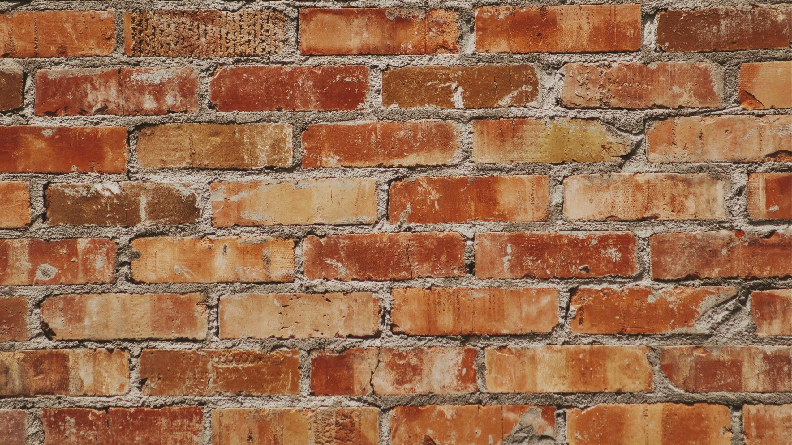 Descargar fondo de pantalla 2560x1440 pared, ladrillos, textura, superficie, ladrillo