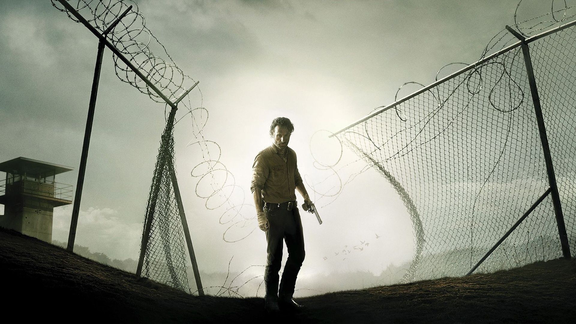 The Walking Dead Wallpaper Background ~ Festival Wallpaper