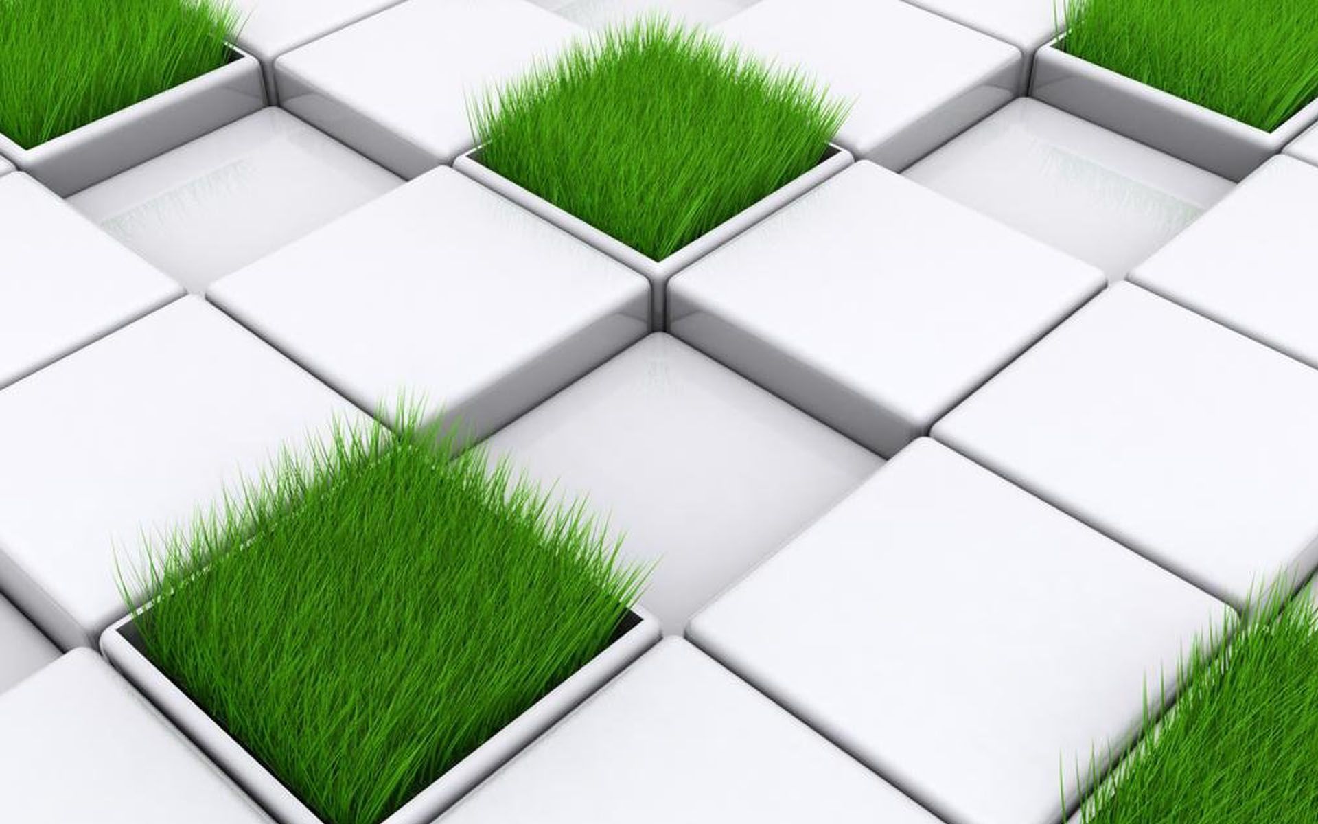 Grass en cuadros - imagenes - fondos de pantalla - Variados - fondos hd # 2851
