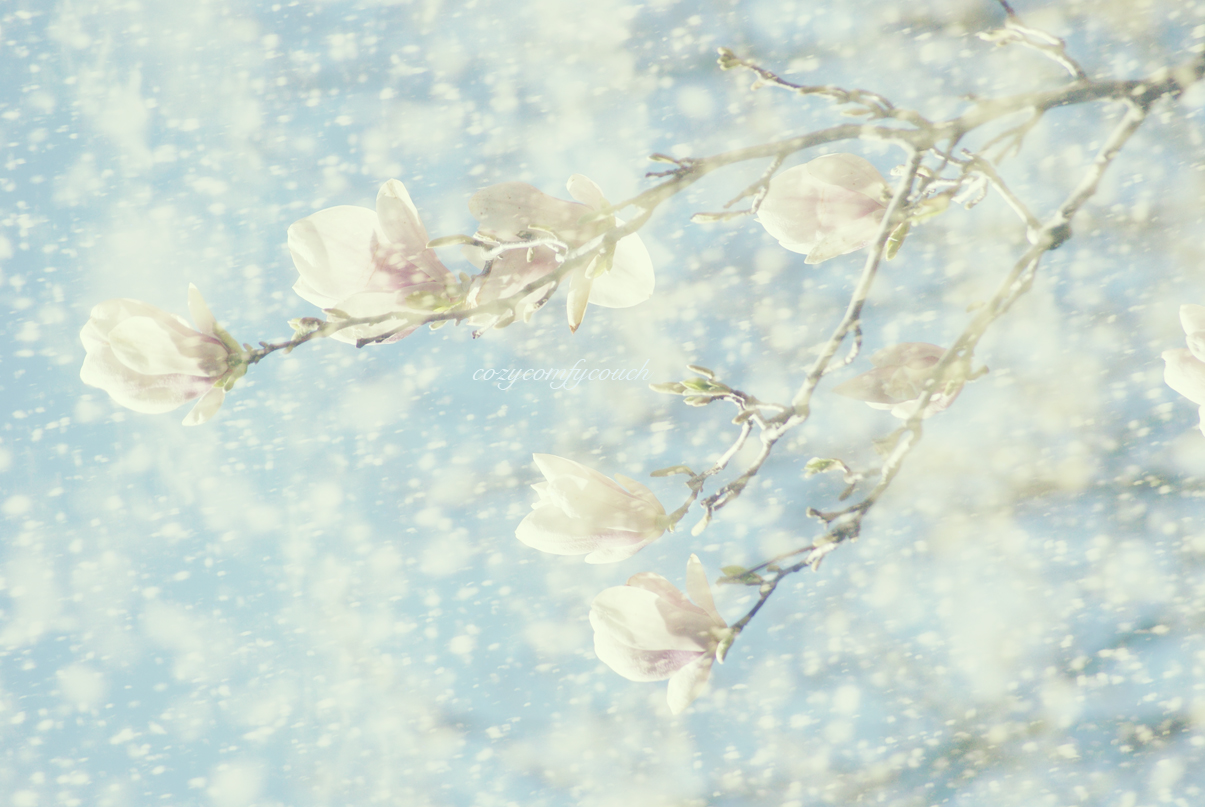 Cute Baby Blue Wallpaper - Fondo de pantalla único