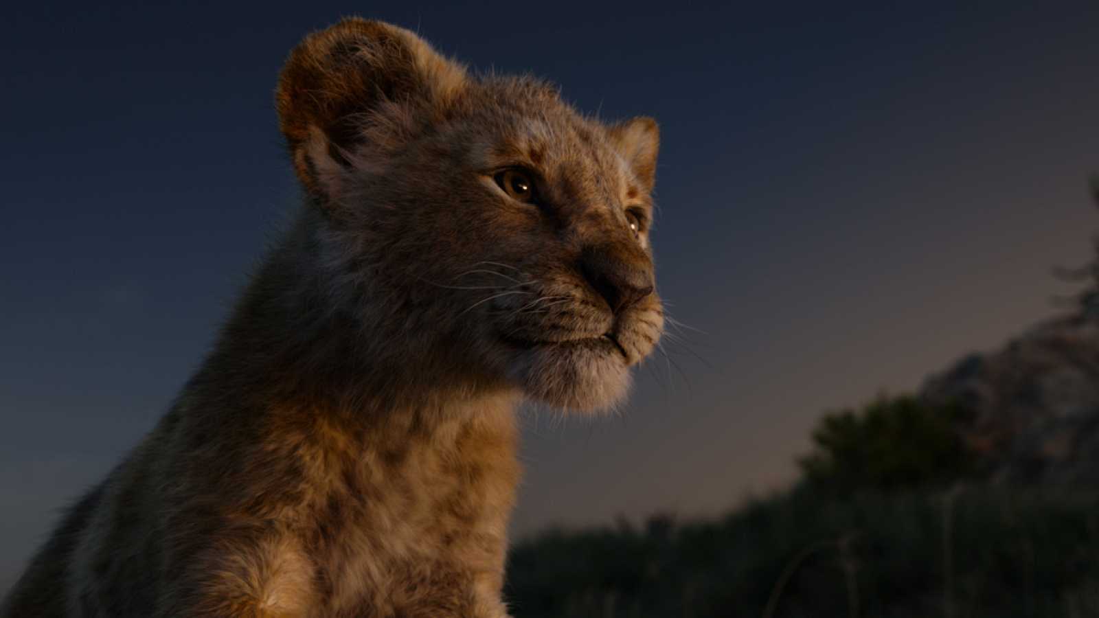 Fondo de pantalla de El Rey León 1600x900
