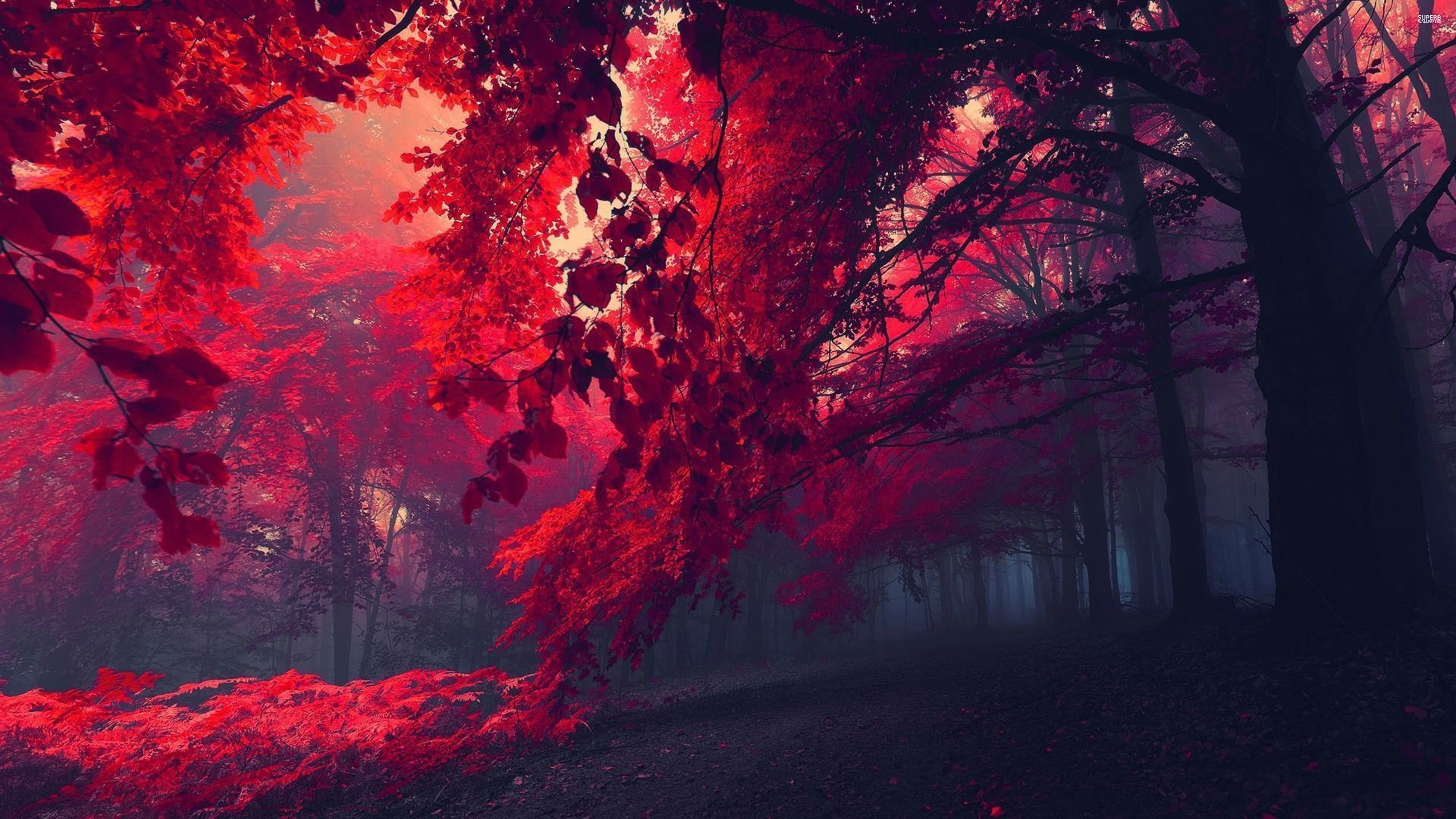 Fondo de pantalla  3840x2160 3840x2160