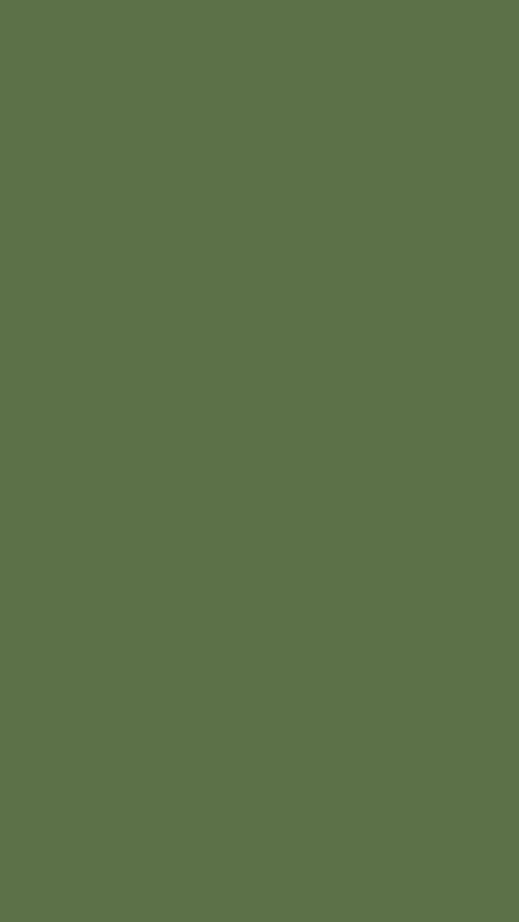 Fondo de pantalla  verde liso 736x1308