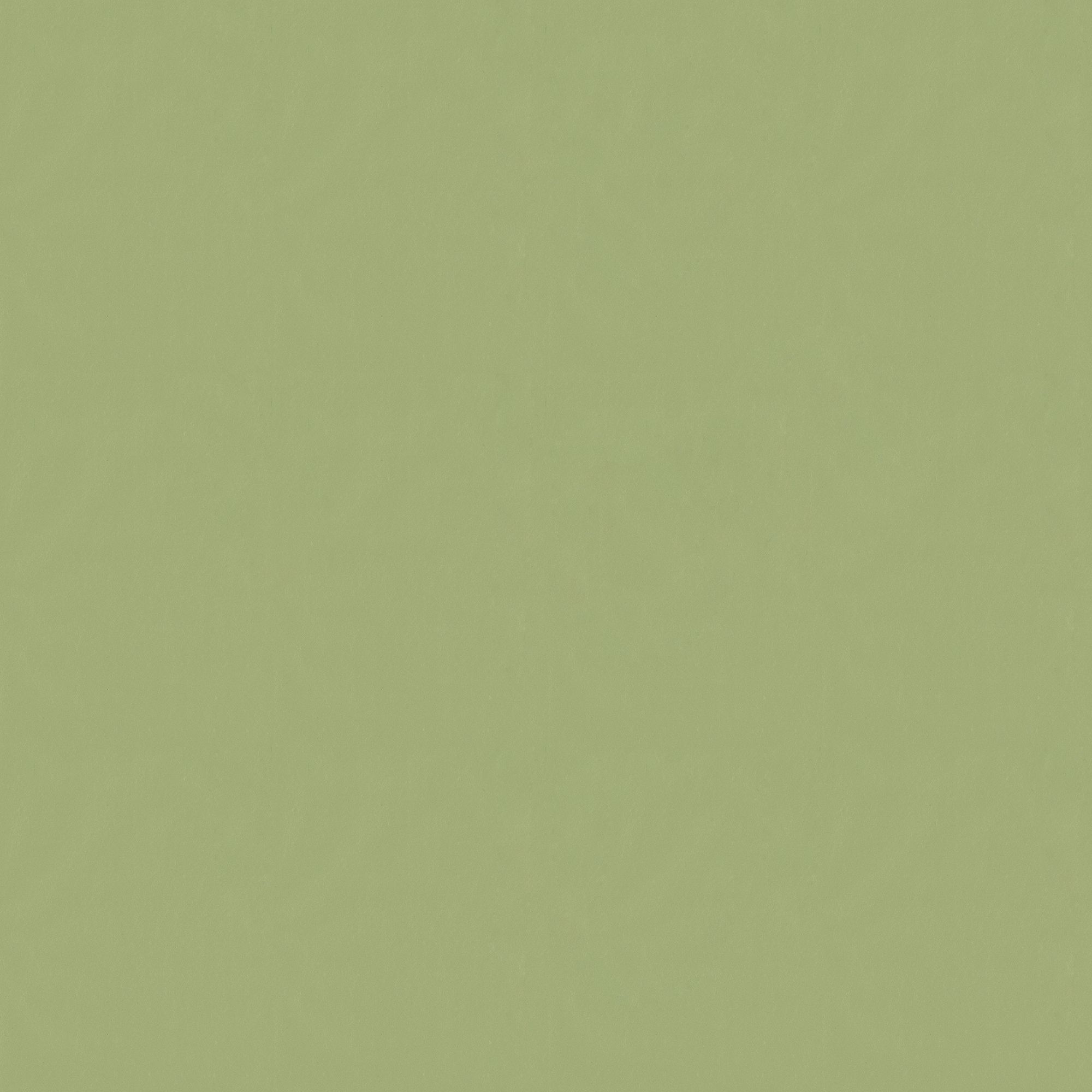 Fondo de pantalla  verde liso 2000x2000
