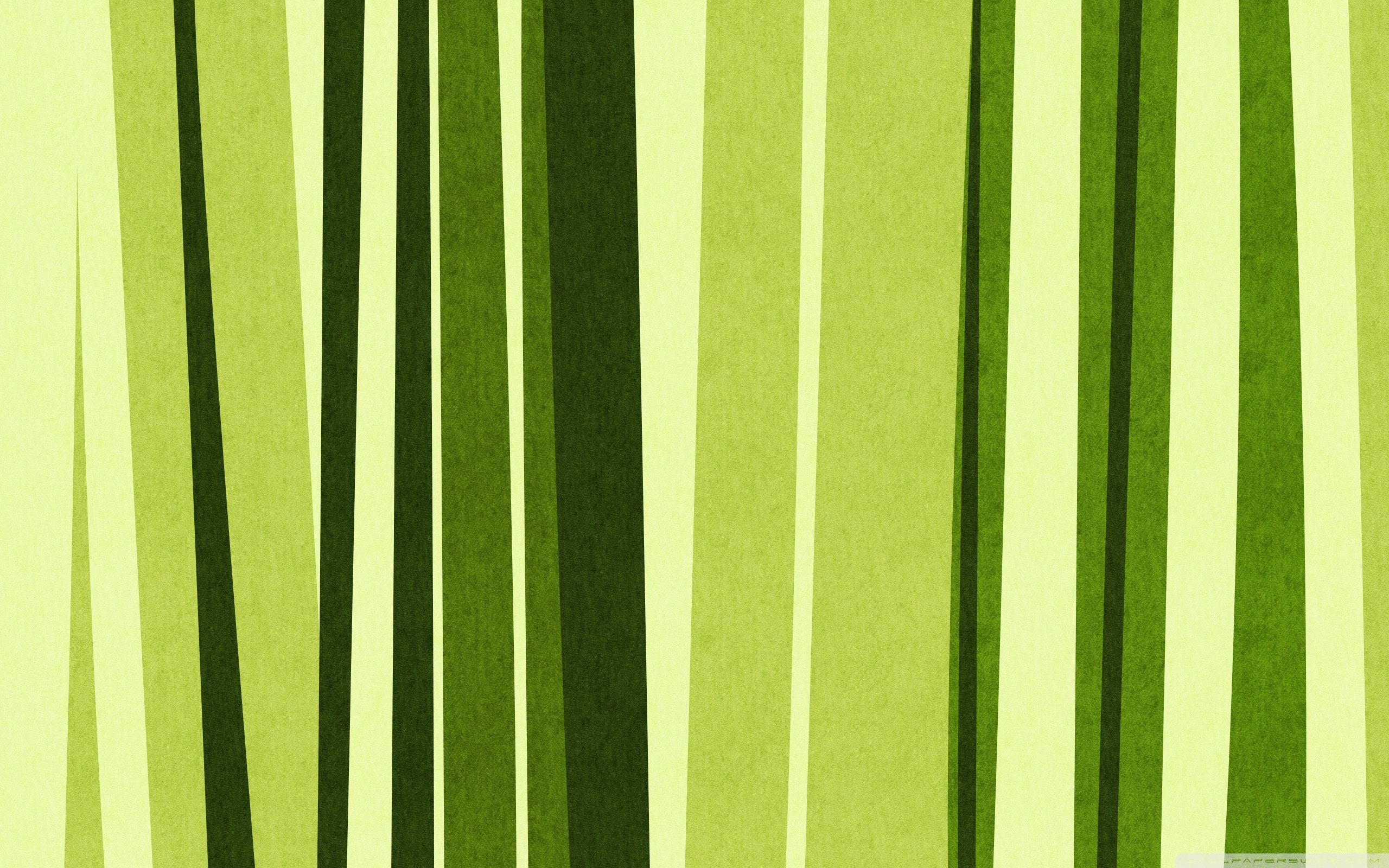 Rayas Fondos de pantalla 2560x1600, # RP7ES9N - 4USkY