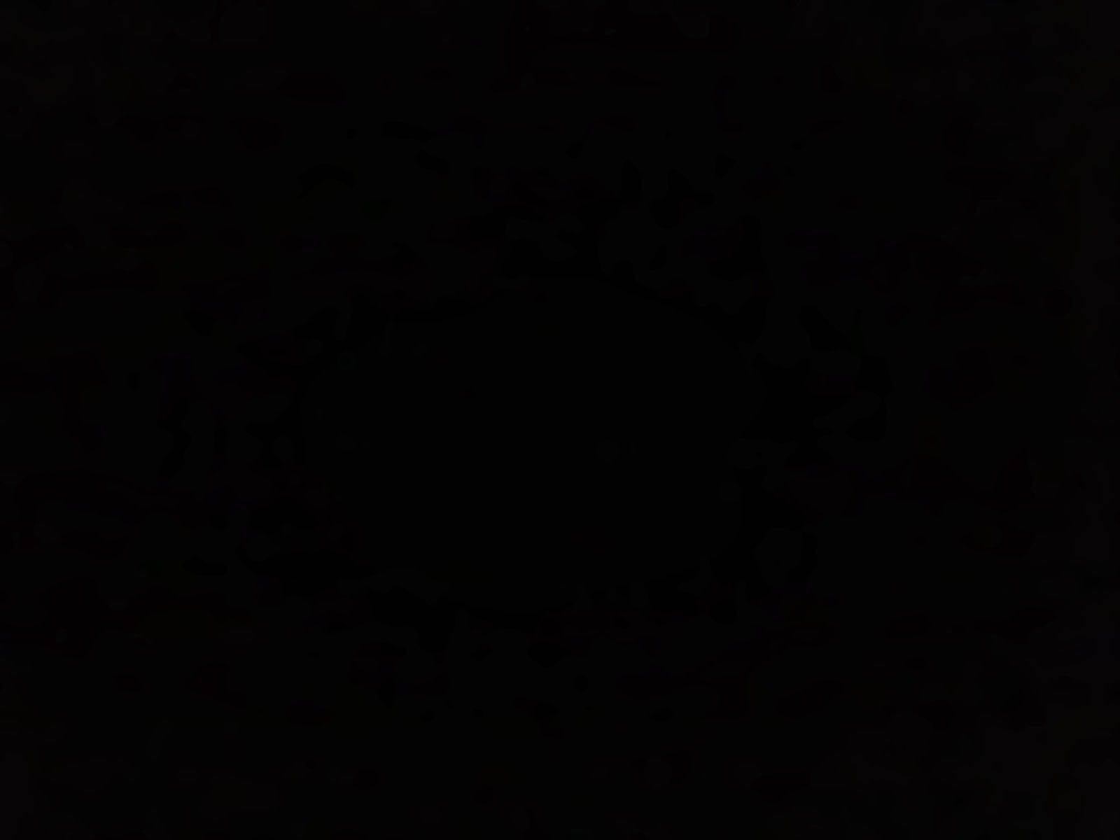 Fondo de pantalla  negro liso 1600x1200