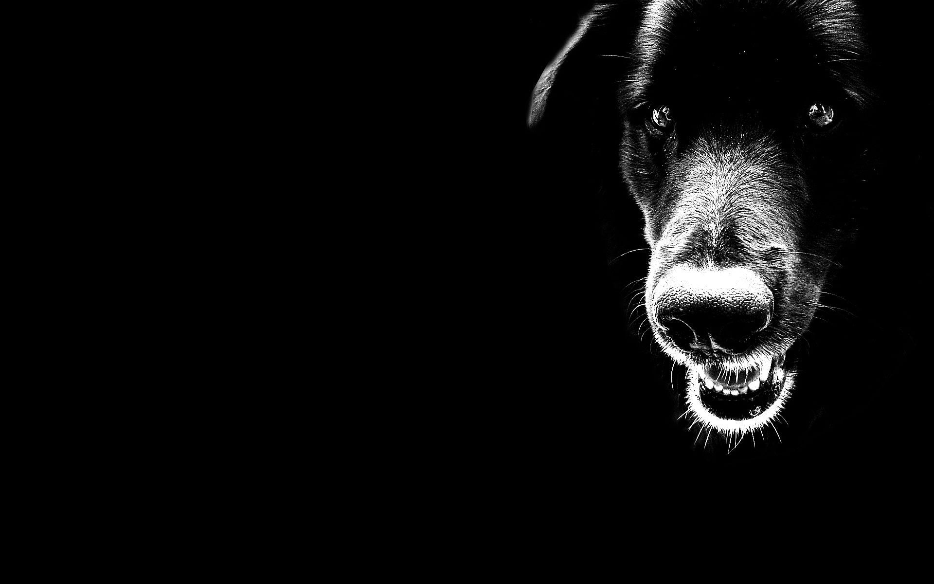 Fondo de pantalla  negro liso 1920x1200