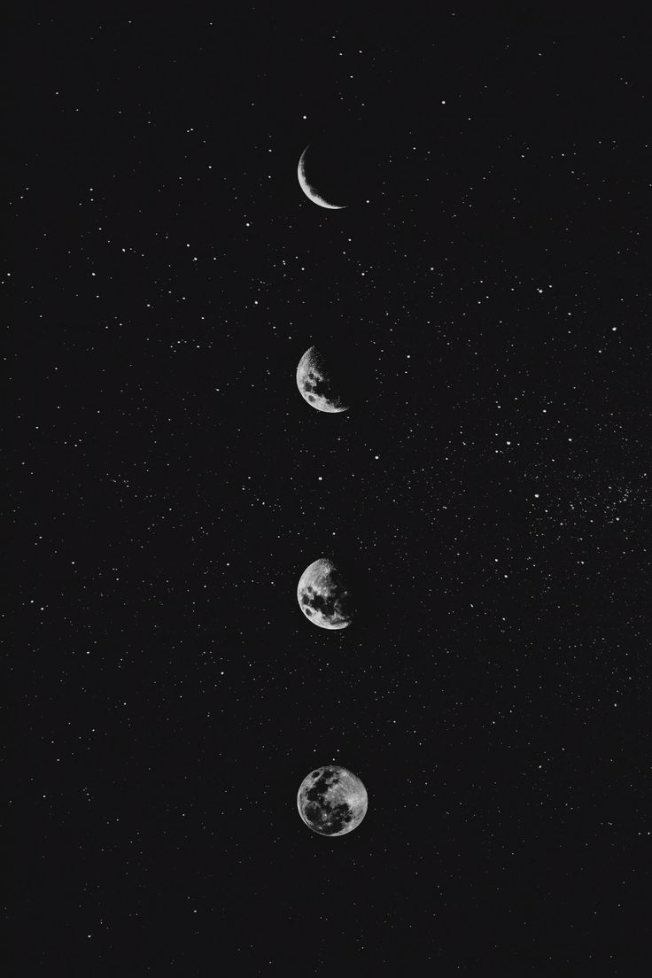 Fondo de pantalla de sonrisa 736x1104