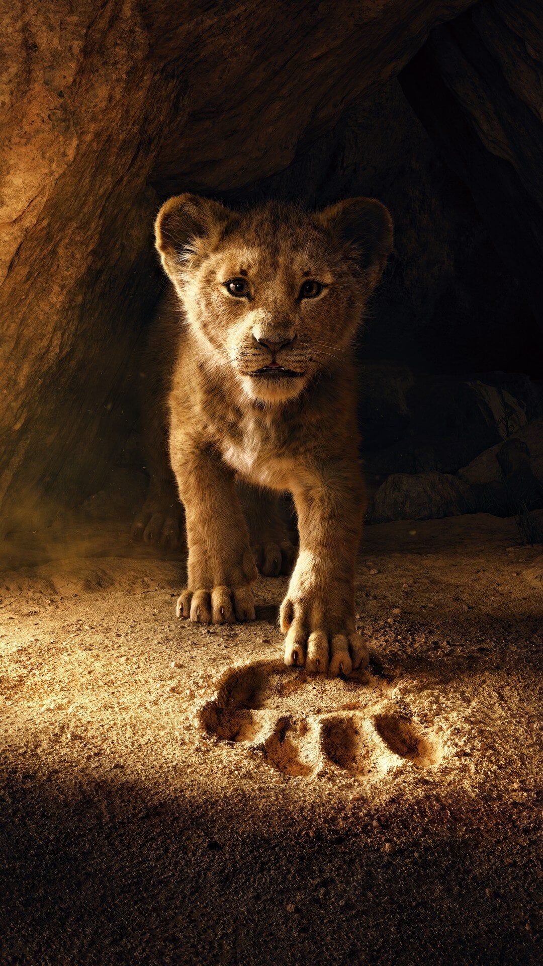 Fondo de pantalla de El Rey León 1080x1920