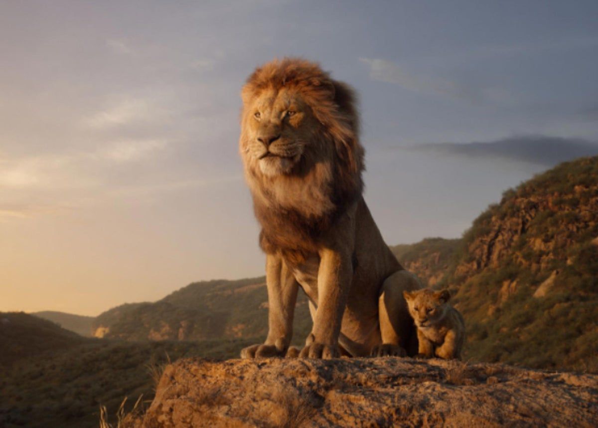 Fondo de pantalla de El Rey León 1200x859