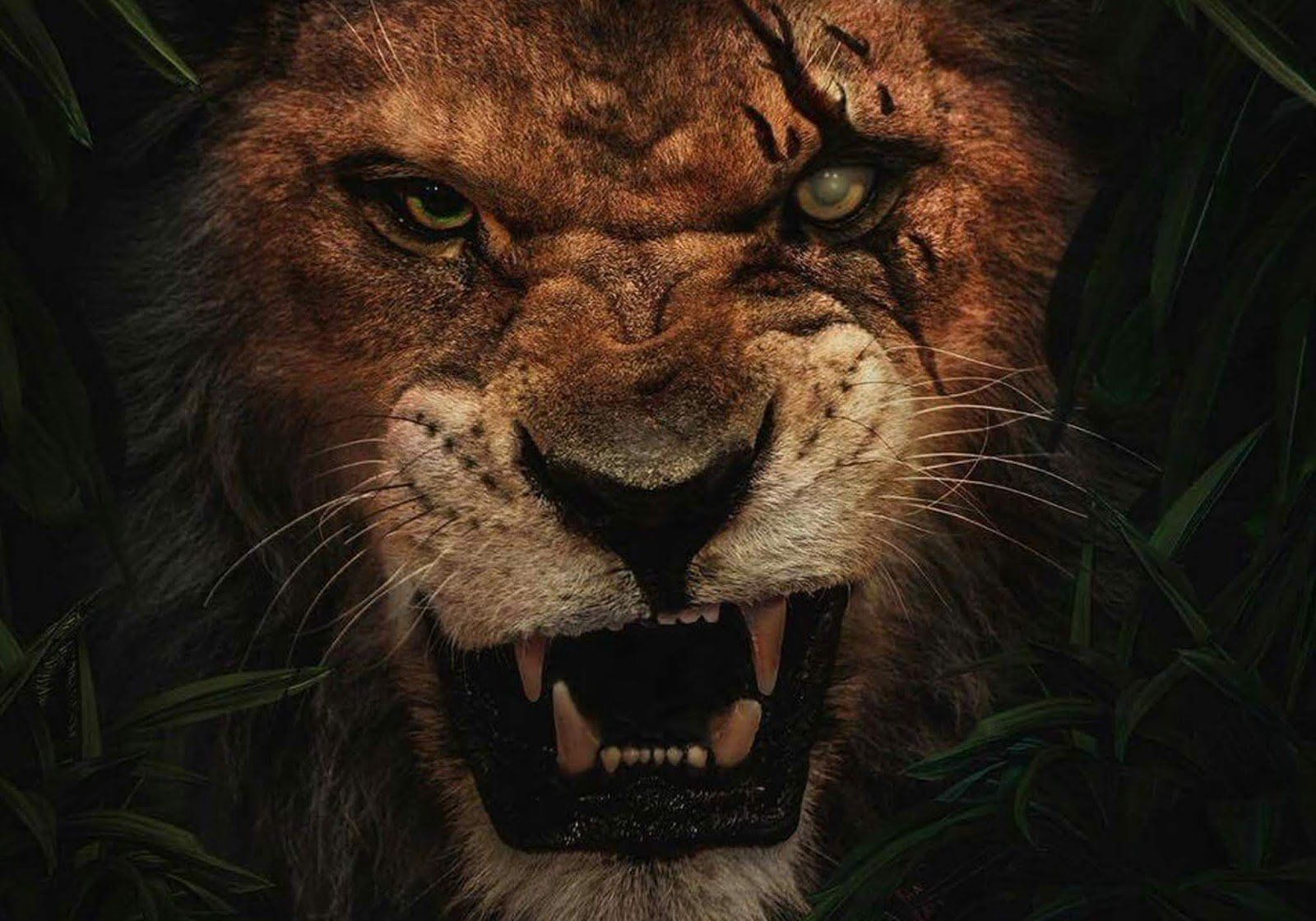 Fondo de pantalla de El Rey León 1600x1120