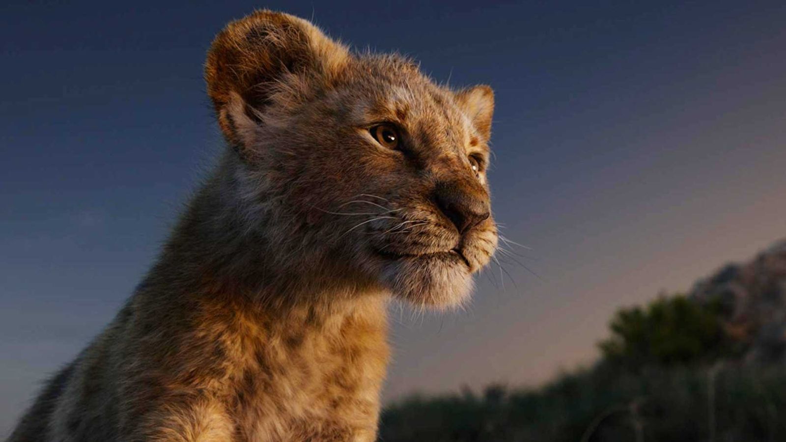 Fondo de pantalla de El Rey León 1600x900