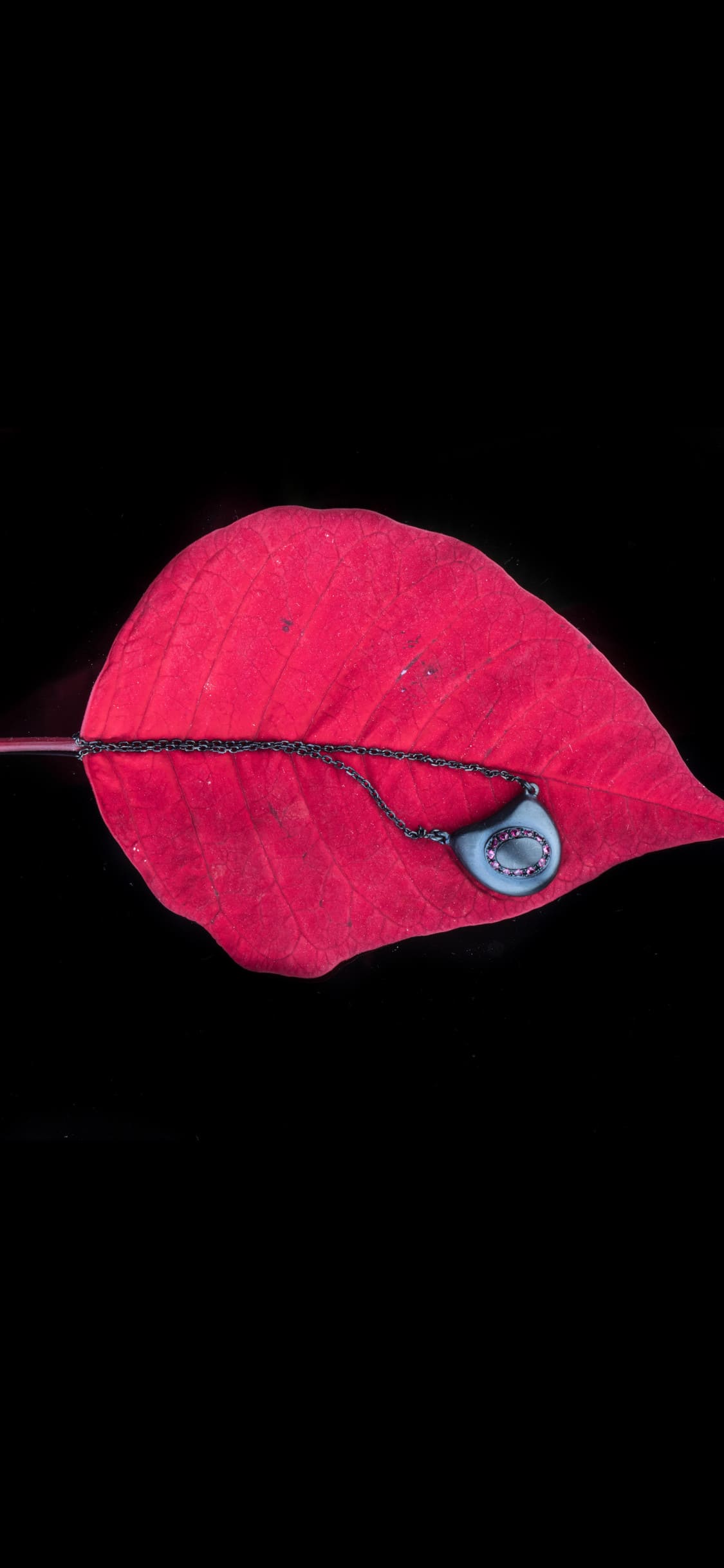 Fondo de pantalla  negro para iPhone 1125x2436