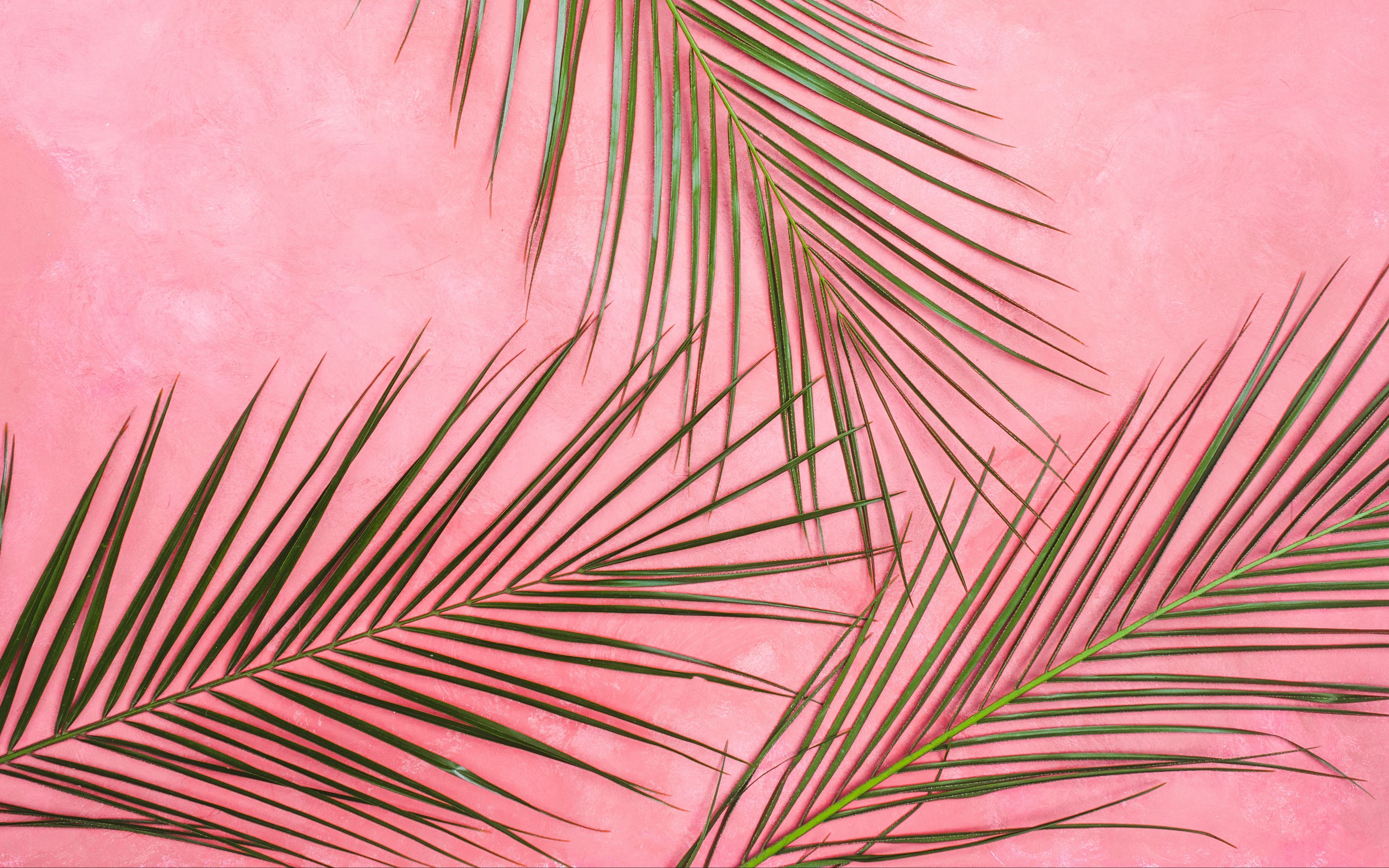 Fondo de pantalla  rosa pastel 3840x2400