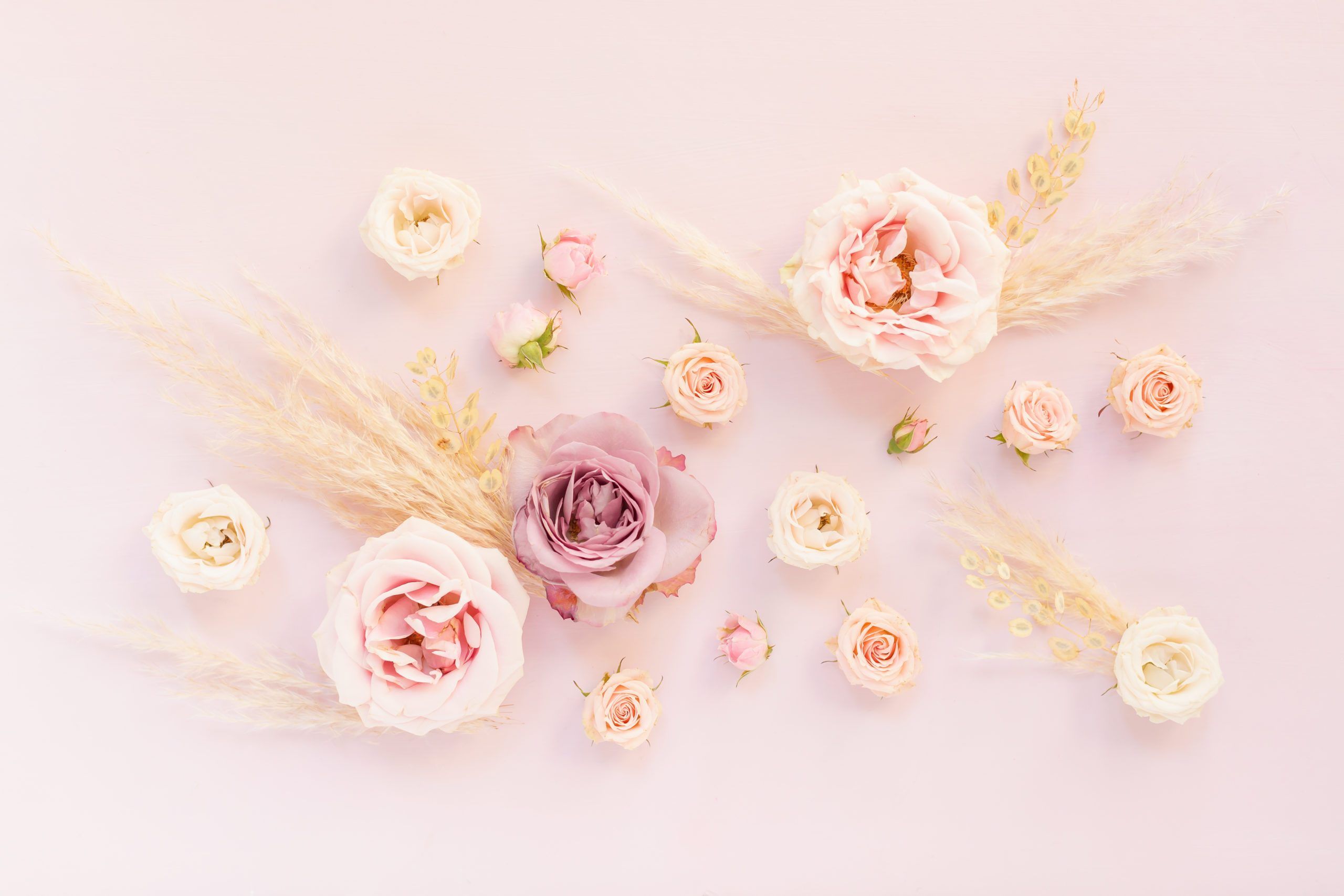 Fondo de pantalla  rosa pastel 2560x1707