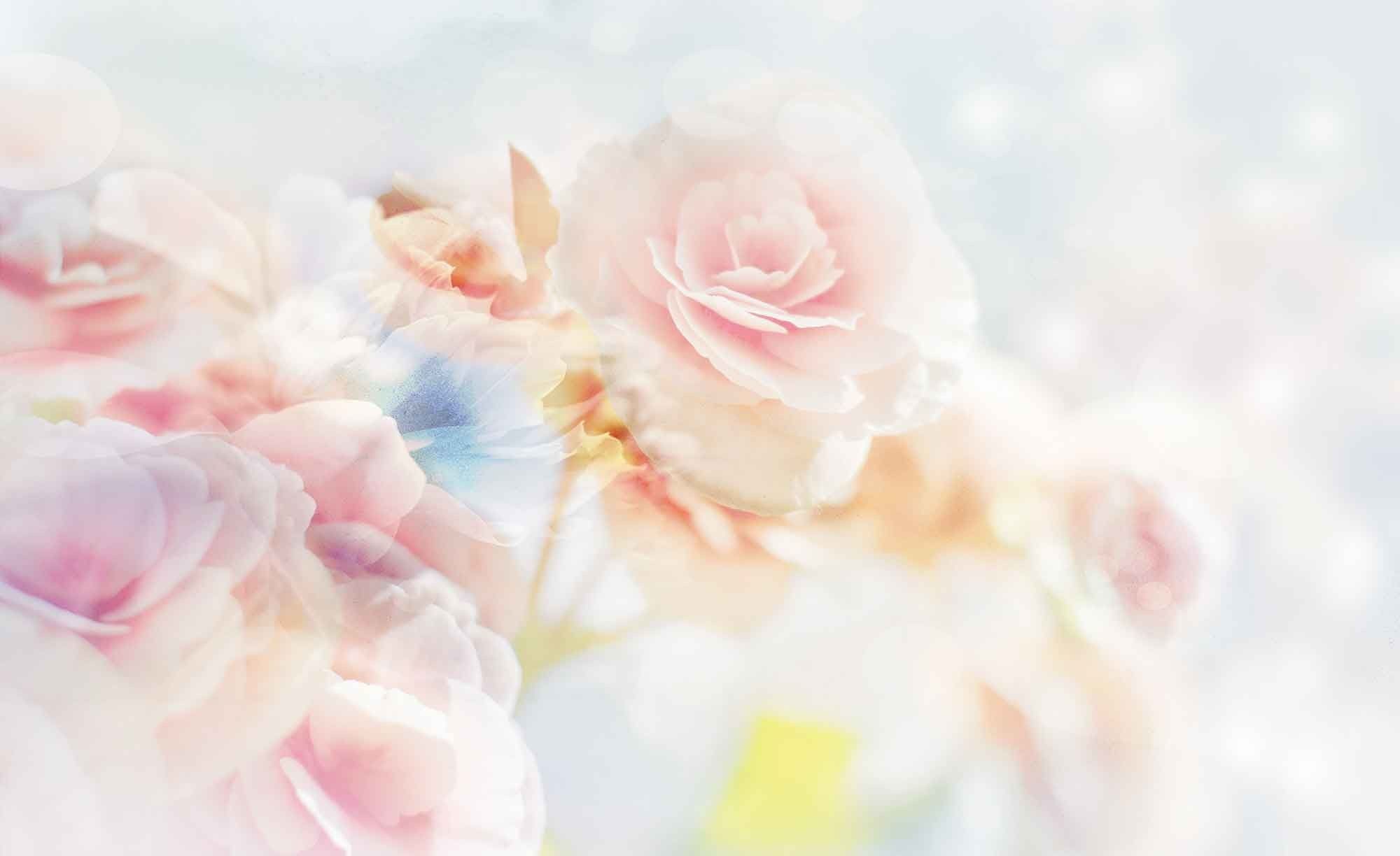 Fondo de pantalla  rosa pastel 2000x1224