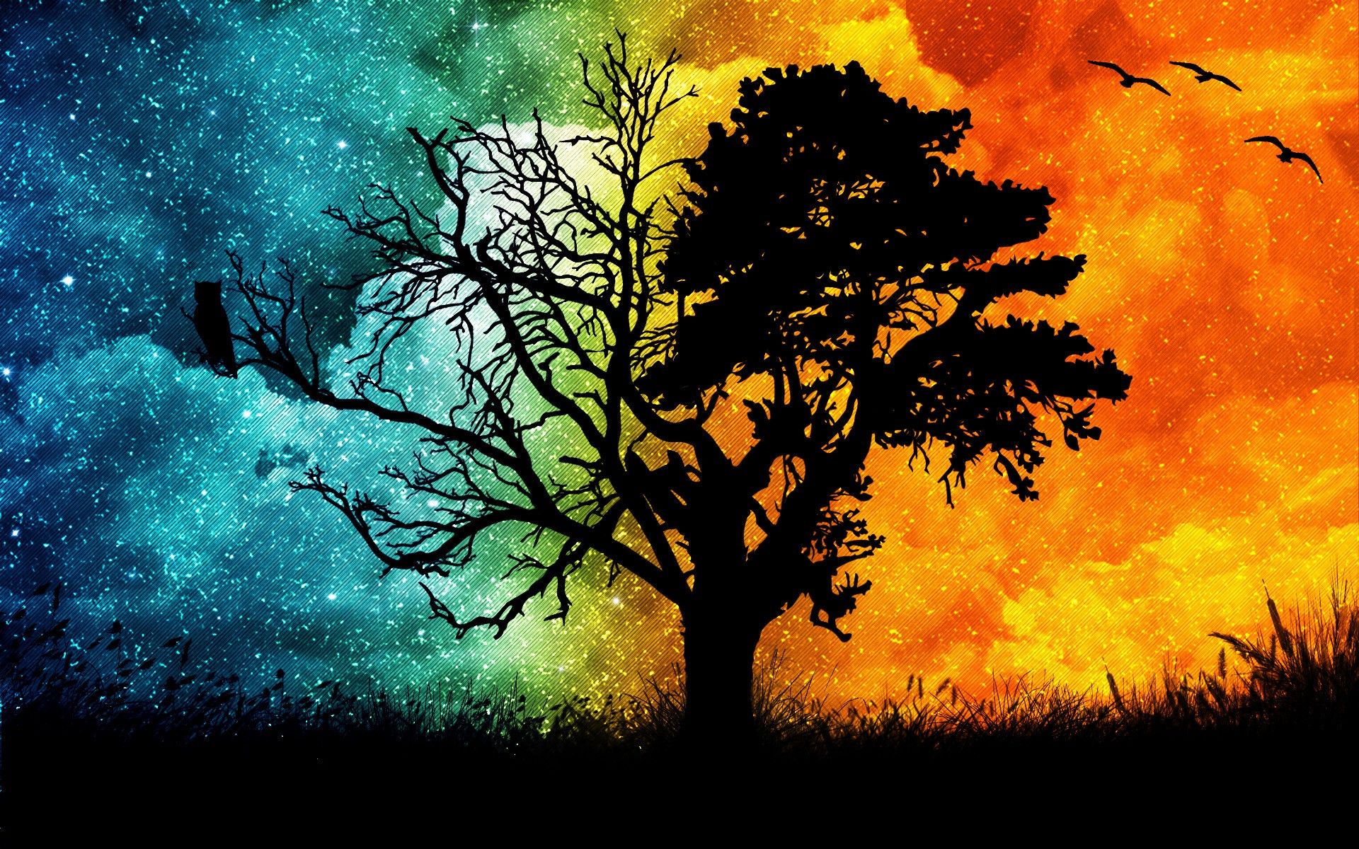 Fondo de pantalla de árbol 1920x1200