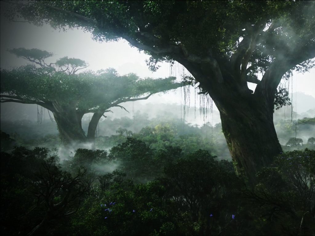 Fondo de pantalla de árbol 1024x768