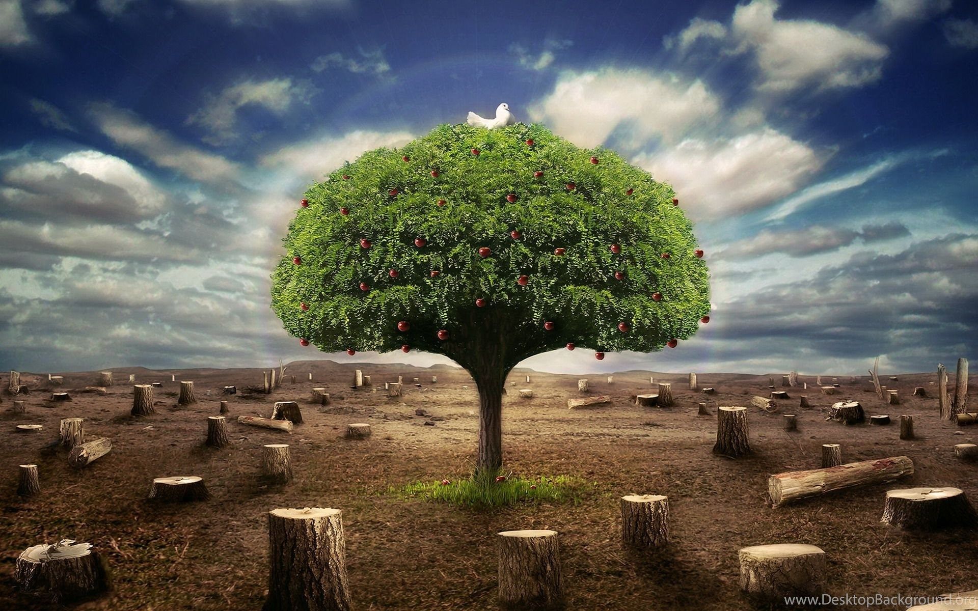 Fondo de pantalla de árbol 1920x1200