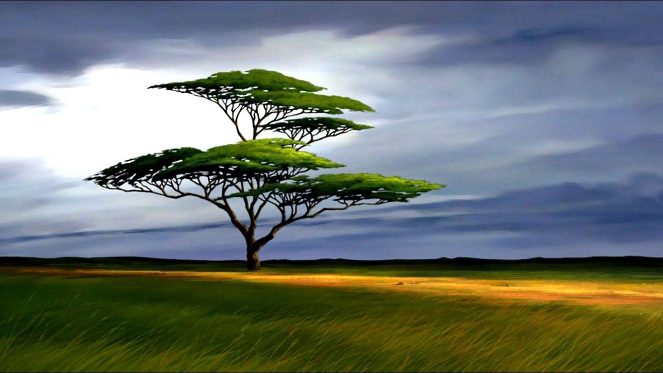 Fondo de pantalla de árbol 1366x768
