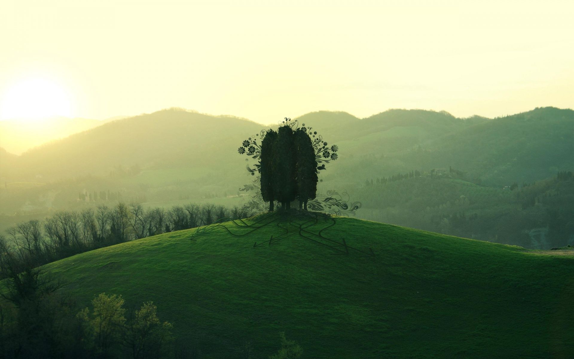 Fondo de pantalla de árbol 1920x1200