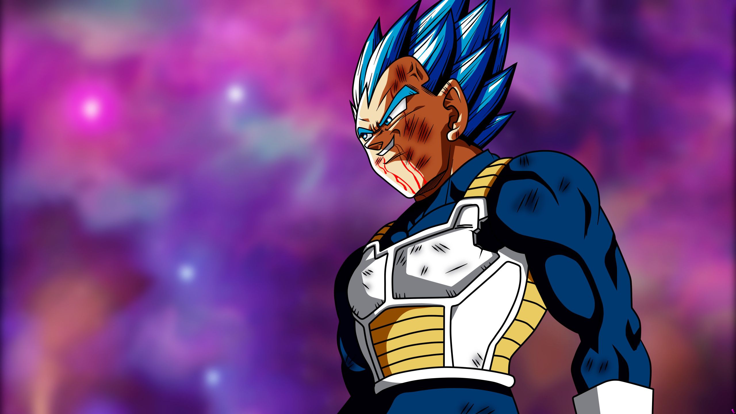 Fondo de pantalla de Vegeta 2560x1440