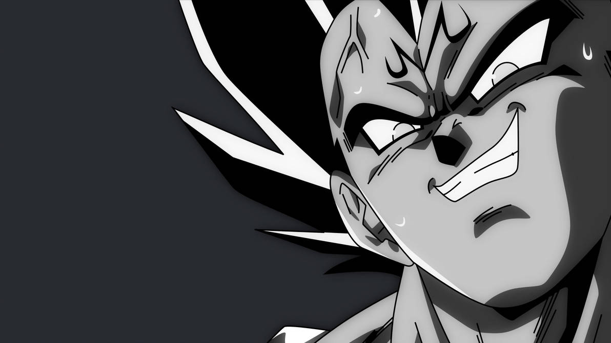 Fondo de pantalla de Vegeta 1192x670