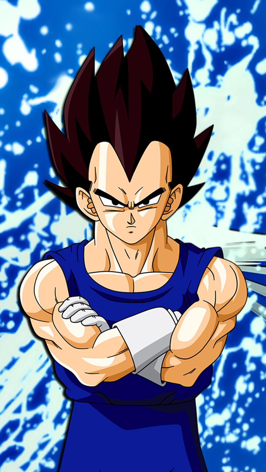 Fondo de pantalla de Vegeta 900x1600