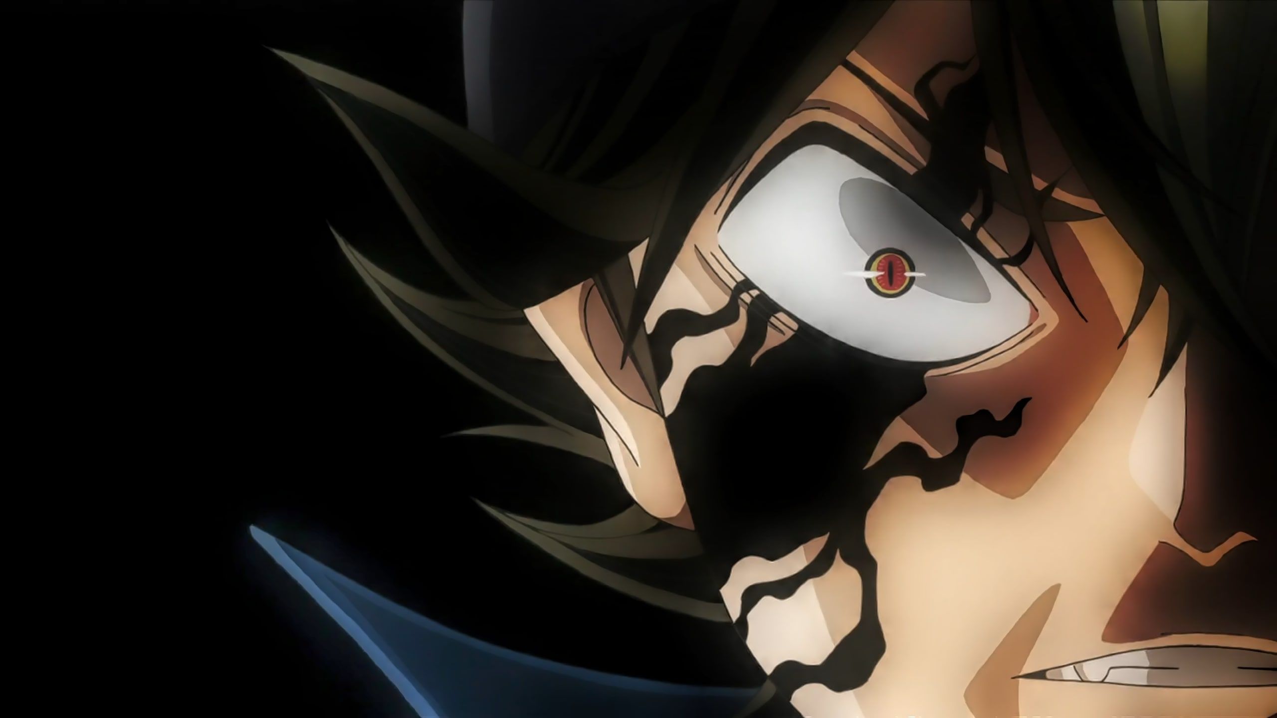 Fondo de pantalla de Black Clover 2560x1440