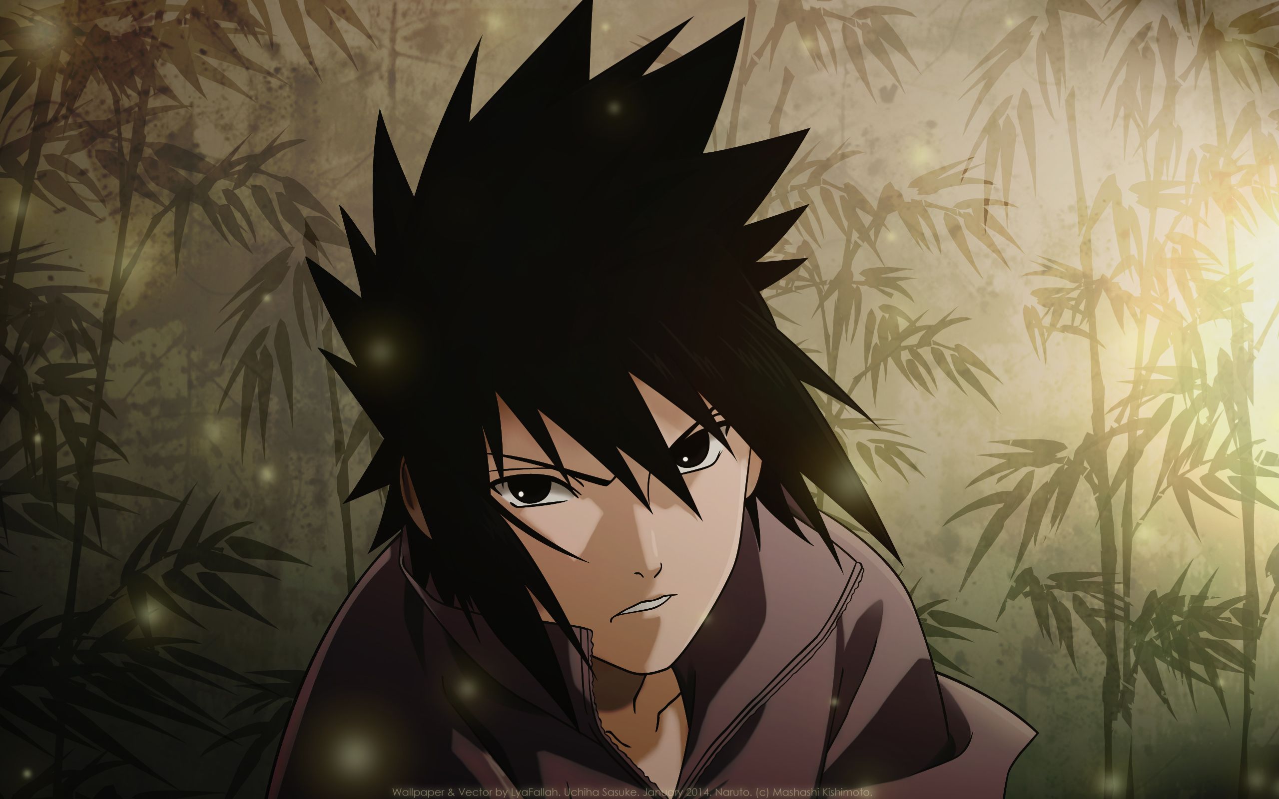 Fondo de pantalla de Sasuke Uchiha 2560x1600