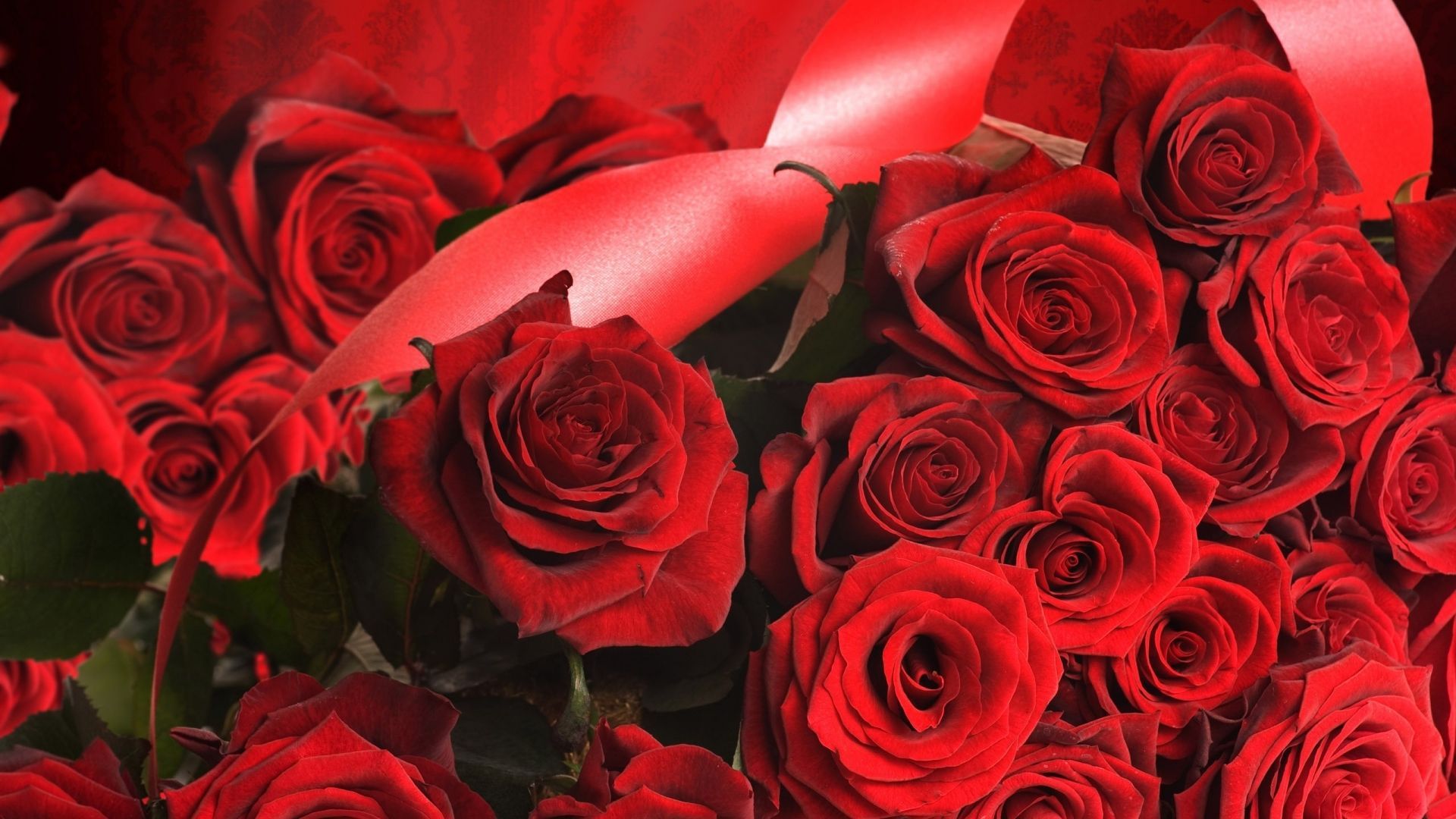 Fondo de pantalla de Flor Roja 1920x1080