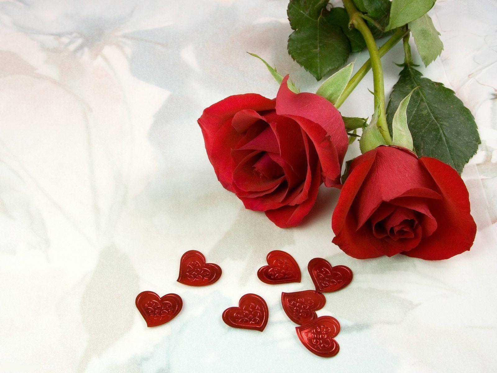Fondo de pantalla de Flor Roja 1600x1200