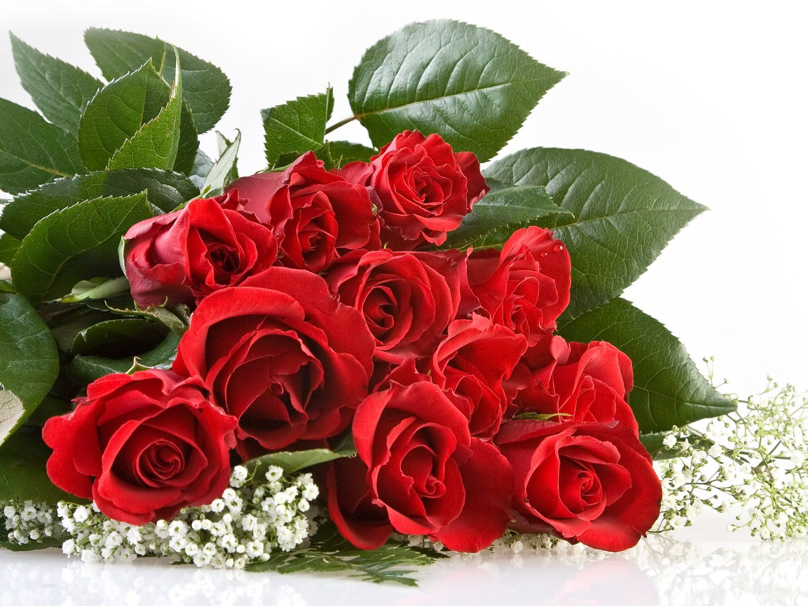 Fondo de pantalla de Flor Roja 1600x1200
