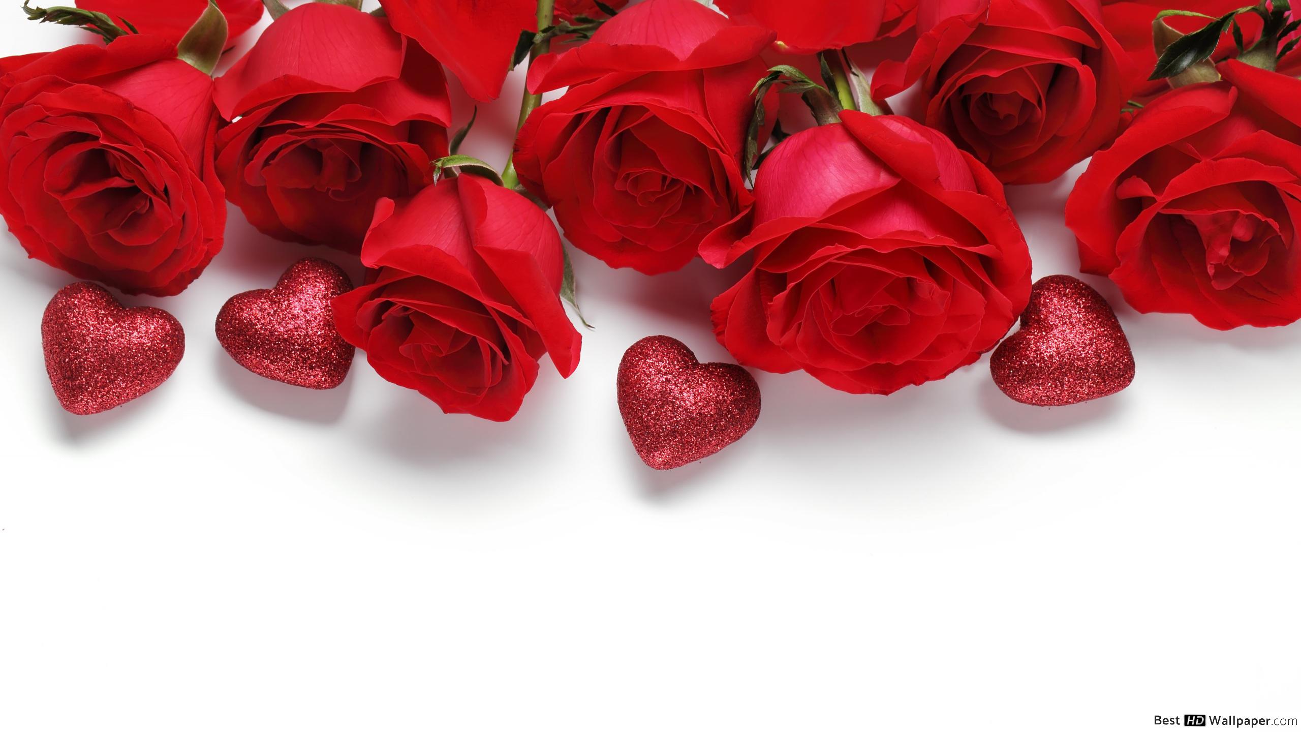 Fondo de pantalla de Flor Roja 2560x1440