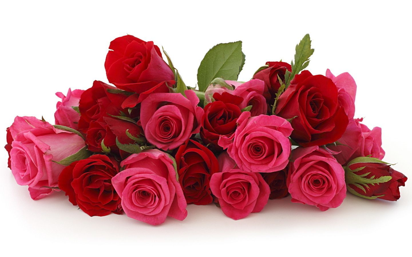 Fondo de pantalla de Flor Roja 1440x900