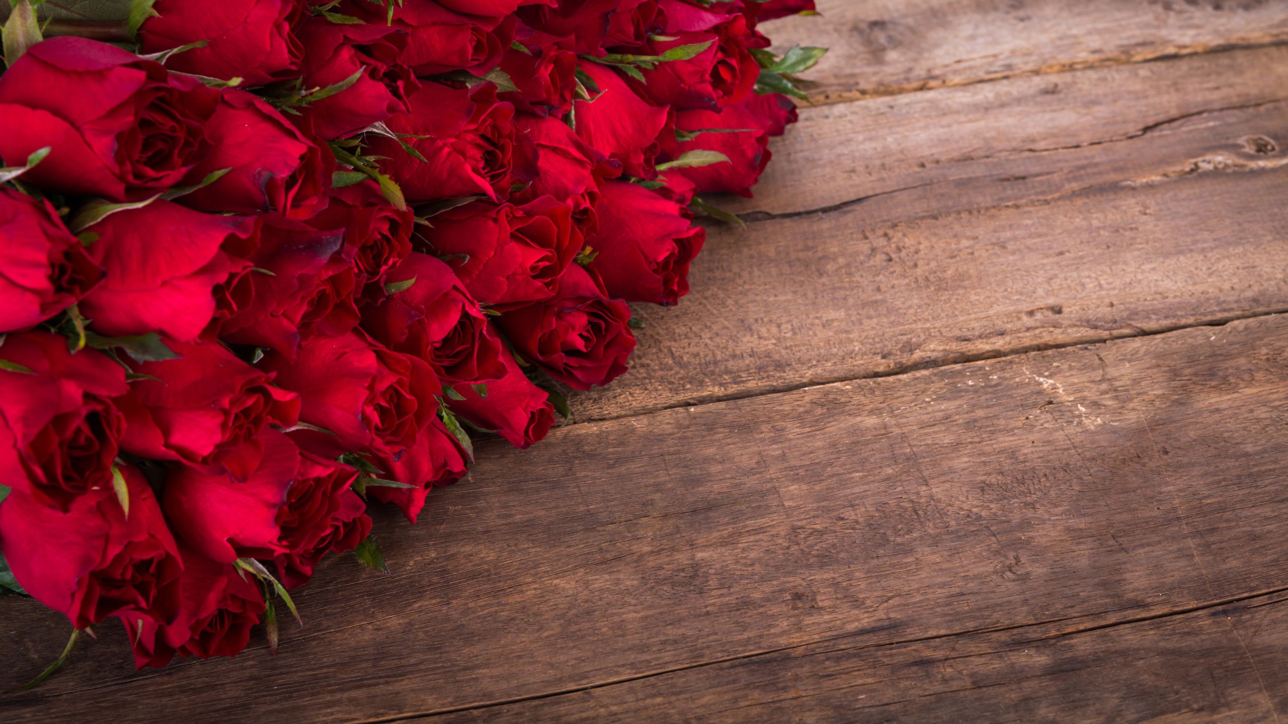 Fondo de pantalla de Flor Roja 2560x1440