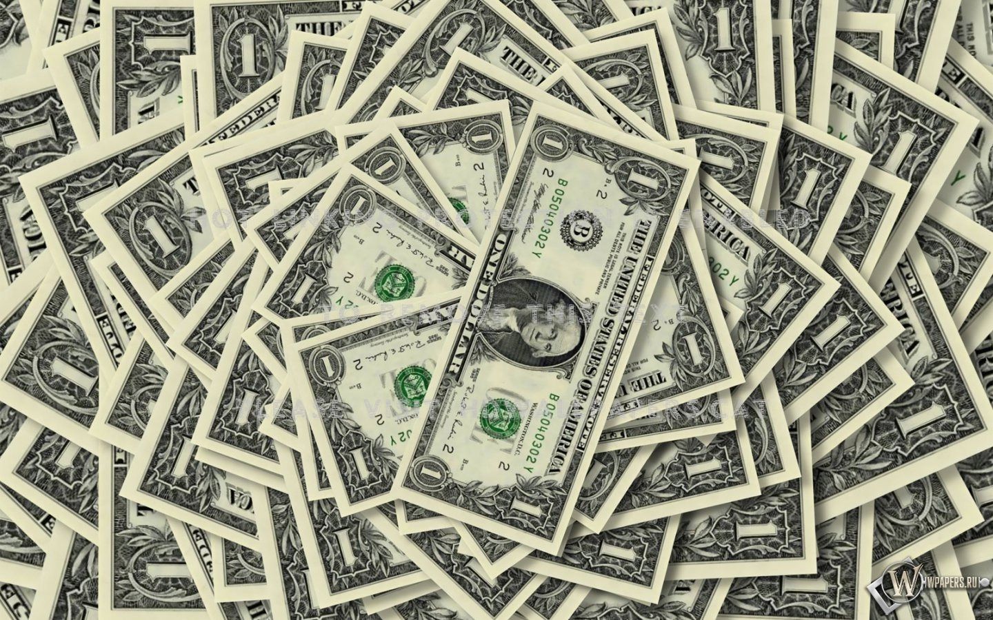 Fondo de pantalla de Dinero 1440x900