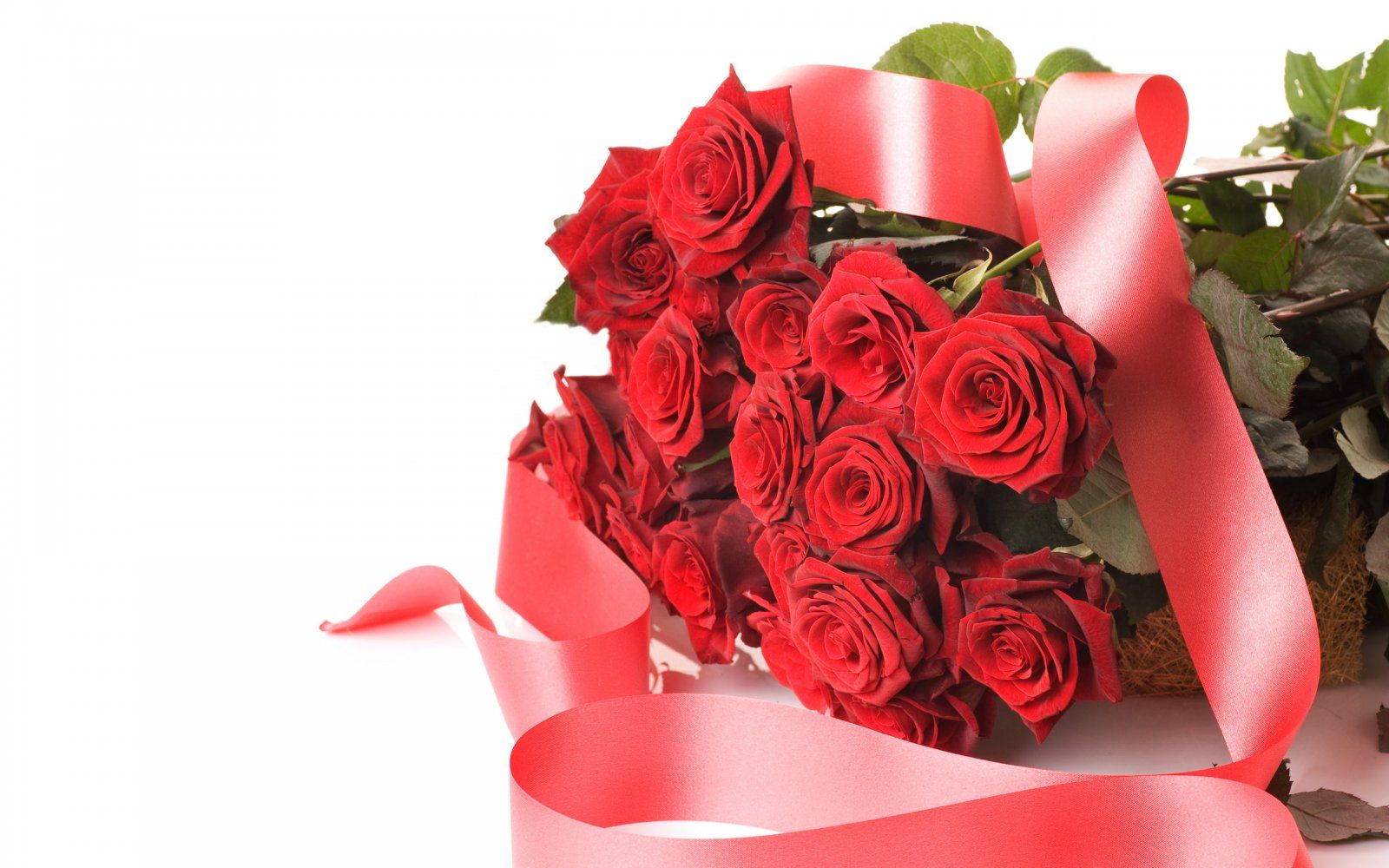 Fondo de pantalla de Flor Roja 1600x1000