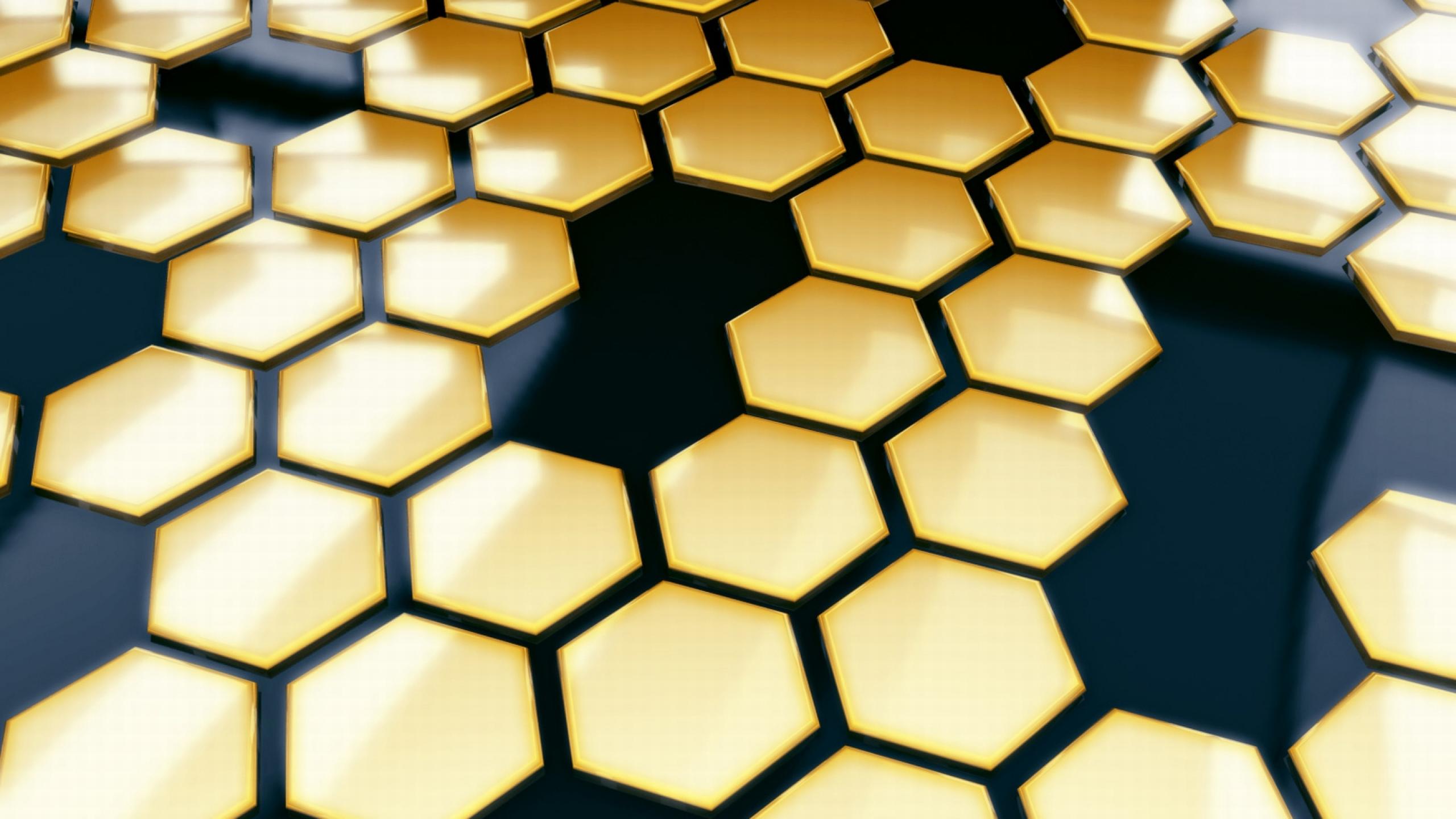 Fondo de pantalla de Abeja 2560x1440