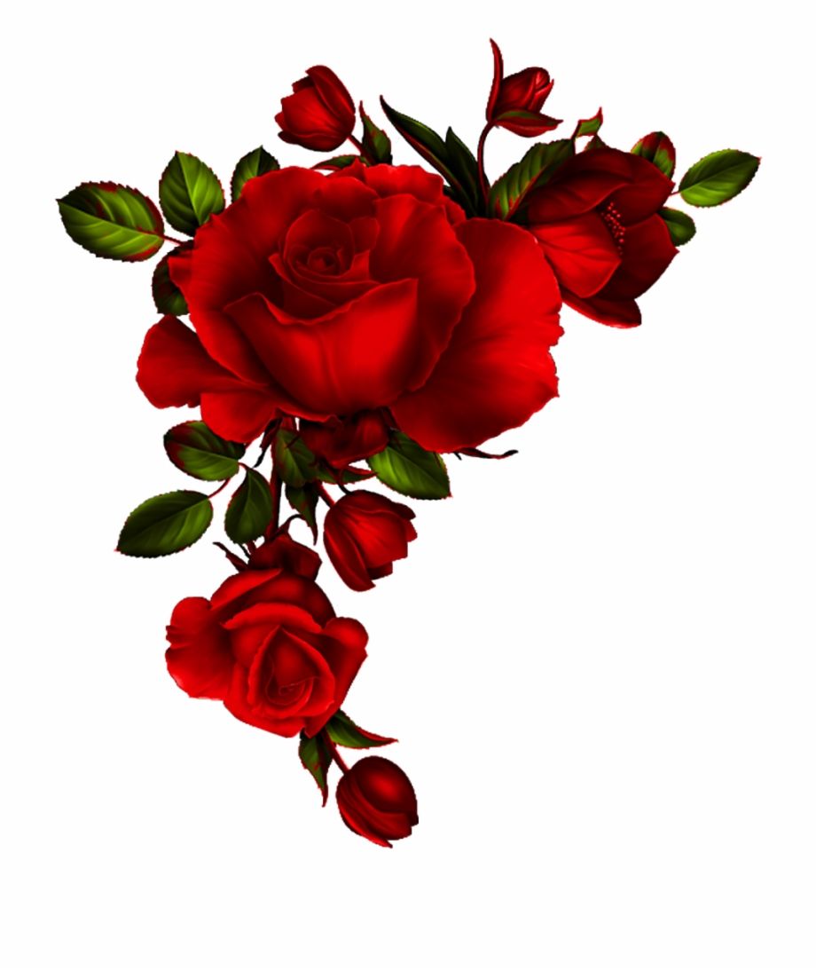Fondo de pantalla de Flor Roja 920x1094
