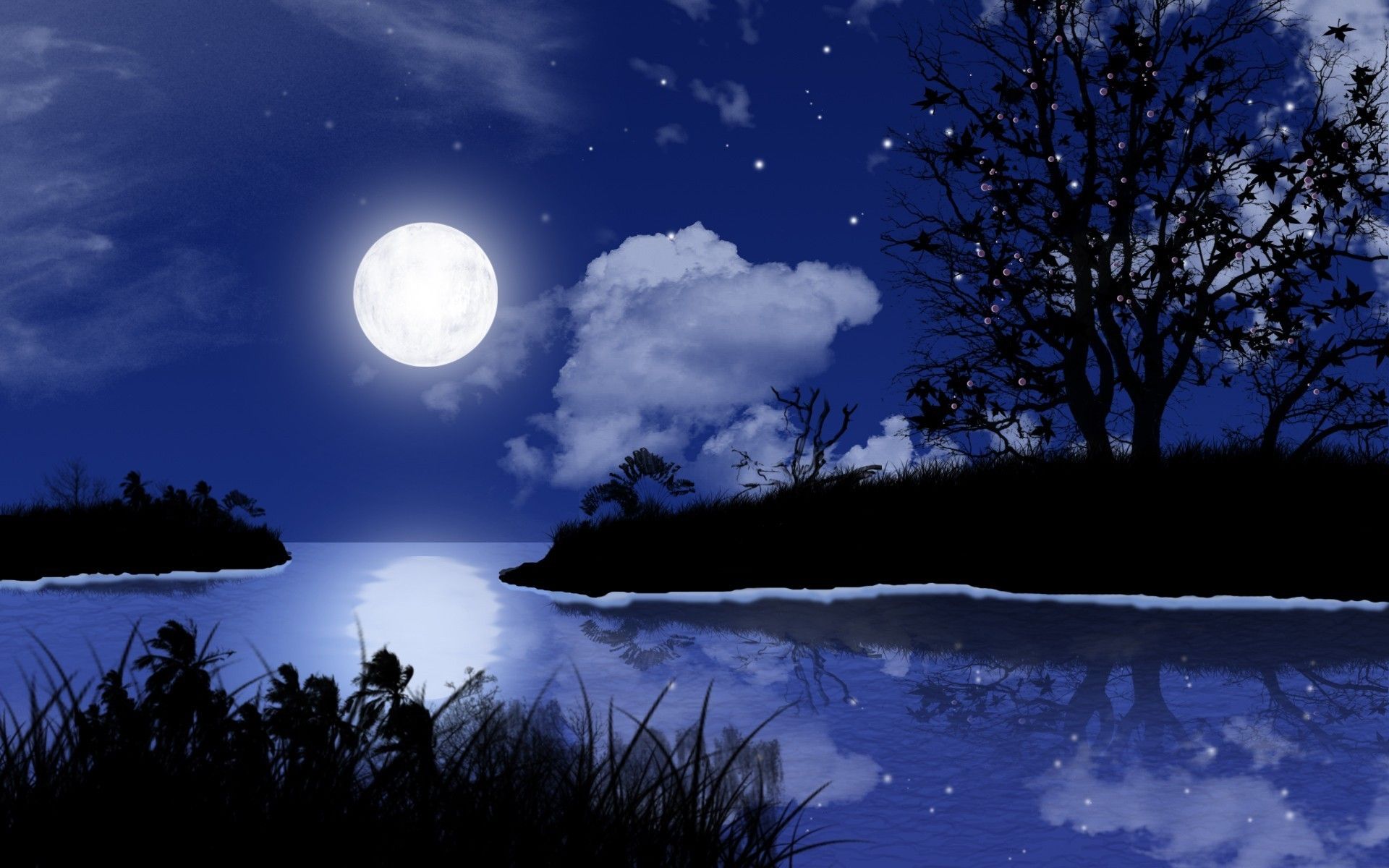 Bright Night Wallpaper - Bright Night fondos de pantalla gratis y fondos