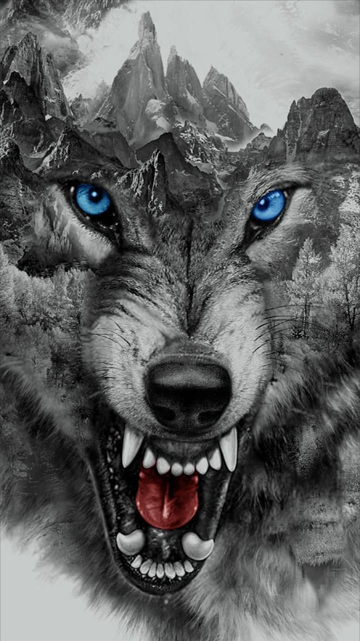 Descargar Angry wolf fondo de pantalla por georgekev ahora. Busca millones de